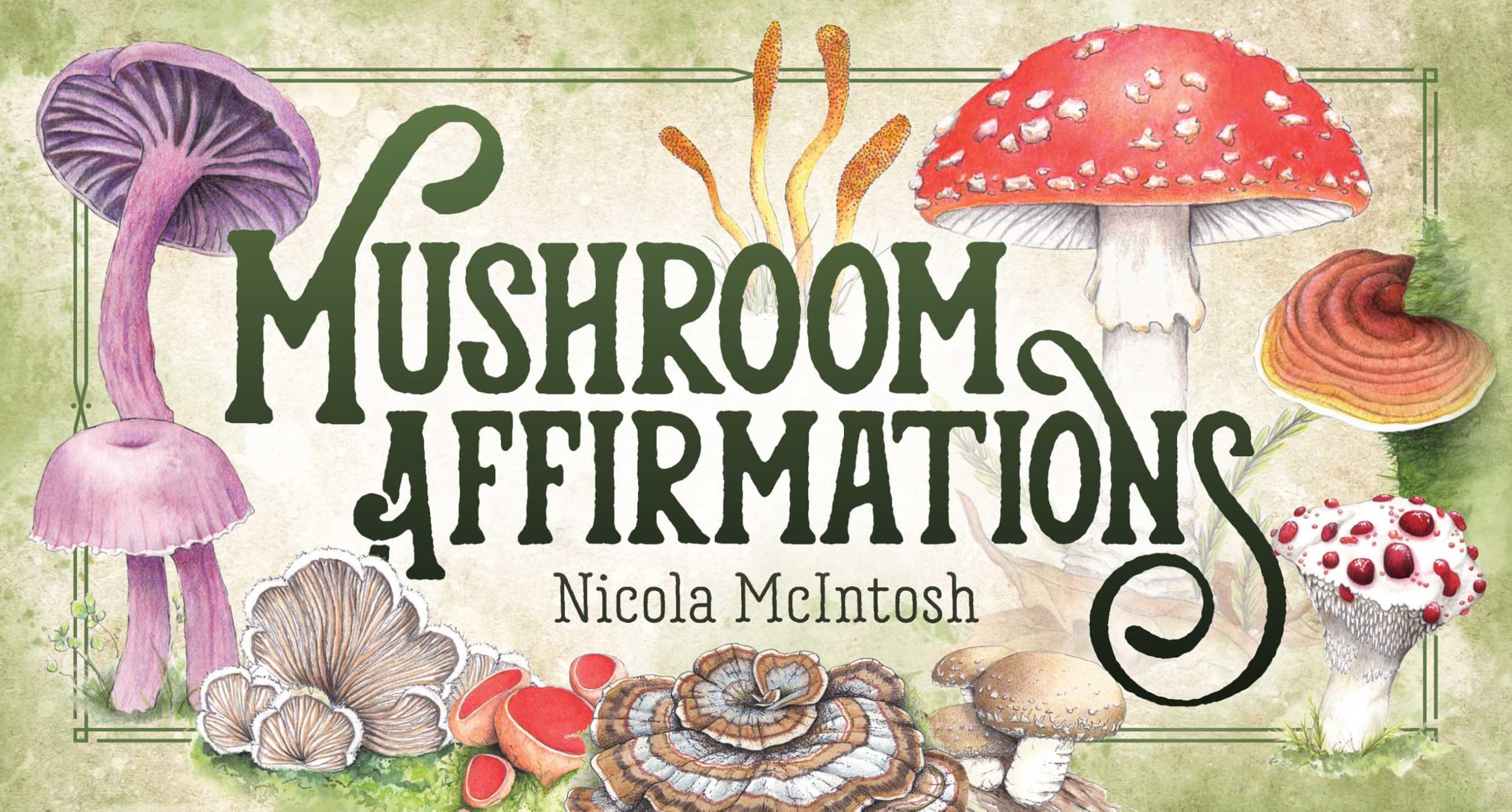 Mushroom Affirmations (Rockpool Mini Cards)