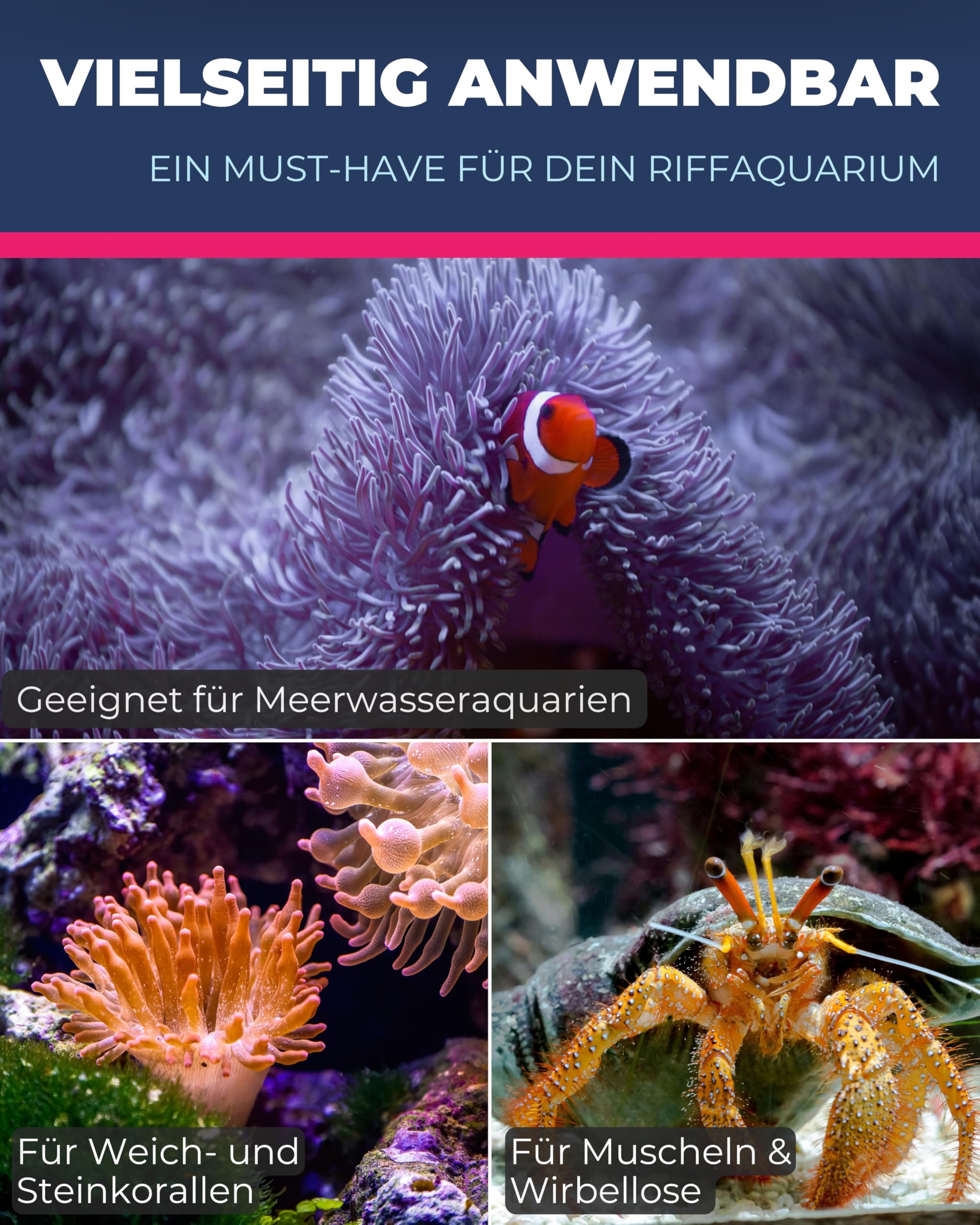 Dupla KH+ Liquid 5.000 ml - Flüssiger Karbonatbildner für stabilen pH-Wert - Effiziente Wasseraufbereitung für Ihr Aquarium - Fördert das Korallenwachstum - Für Meerwasseraquarien geeignet