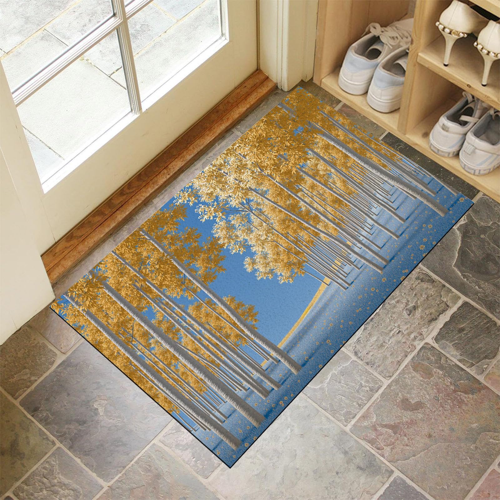 Paillasson intérieur piège à saletés 50x80 cm lavable pour l'entrée