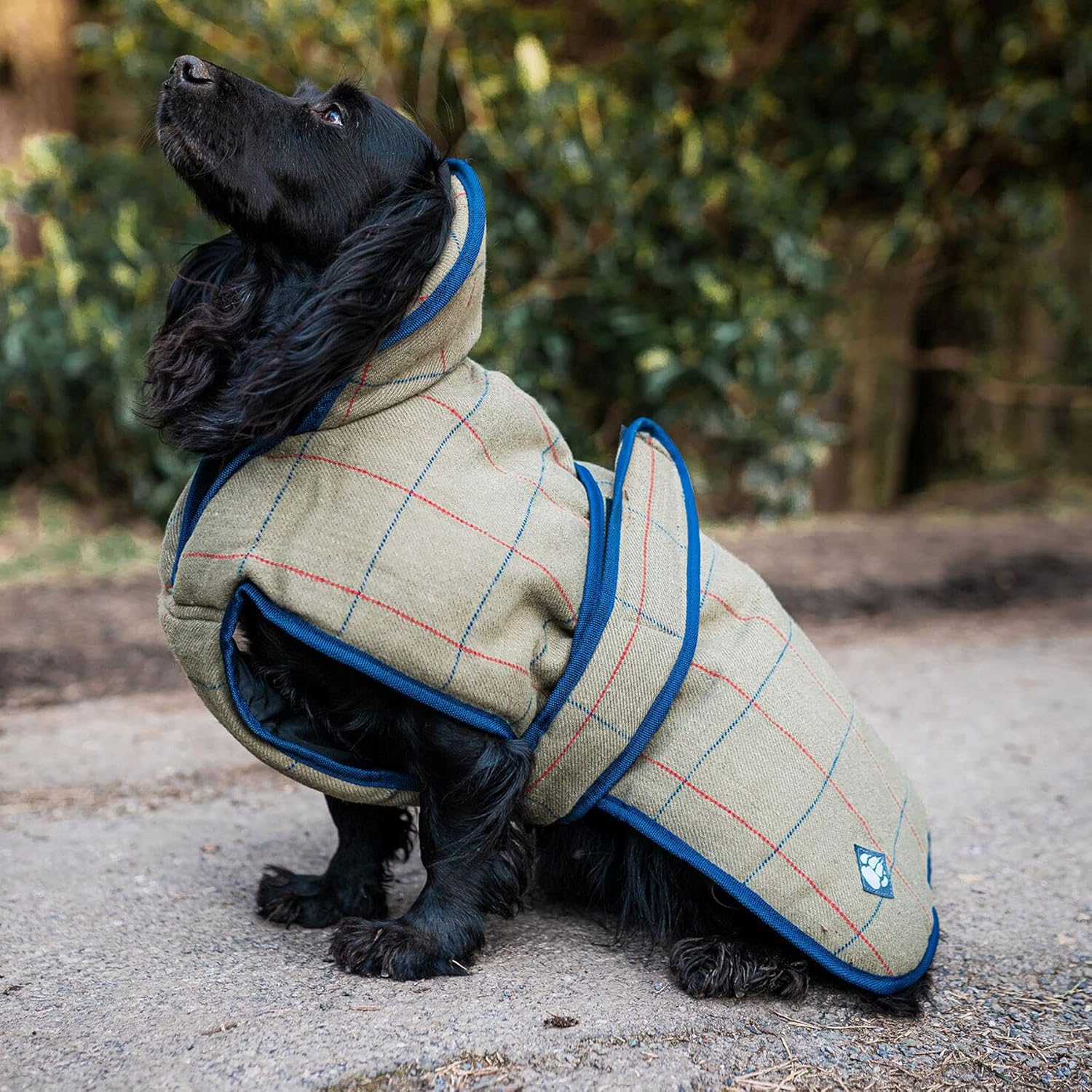 Danish Design Tweed Padded Dog Coat 50cm (20") Pet Coats