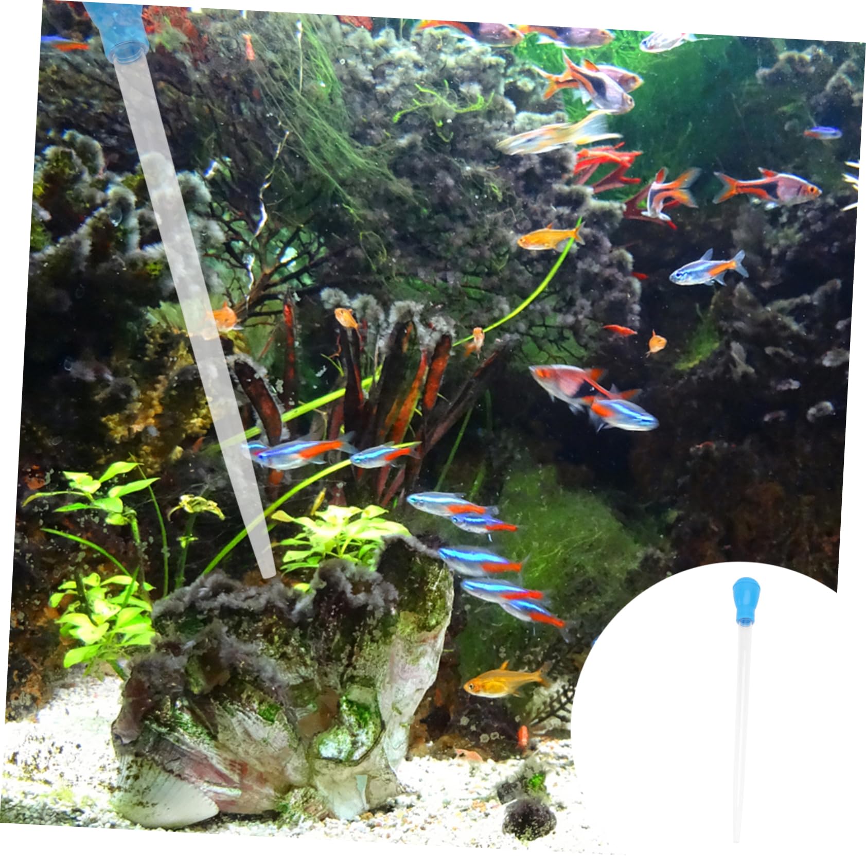 BESPORTBLE 3pcs Aquarium Clean Pipette Dropper Fish Tank Cleaner Vacuum 50ml Tool Kit for Aquarium Cleaning Chemical Safe Dropper for Water Change