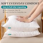 Oubonun 18x18 Boîte de 2 Oreillers à jet, intérieur de coussin carré blanc doux fluffy Plump oreillers inserts pour canapé-lit