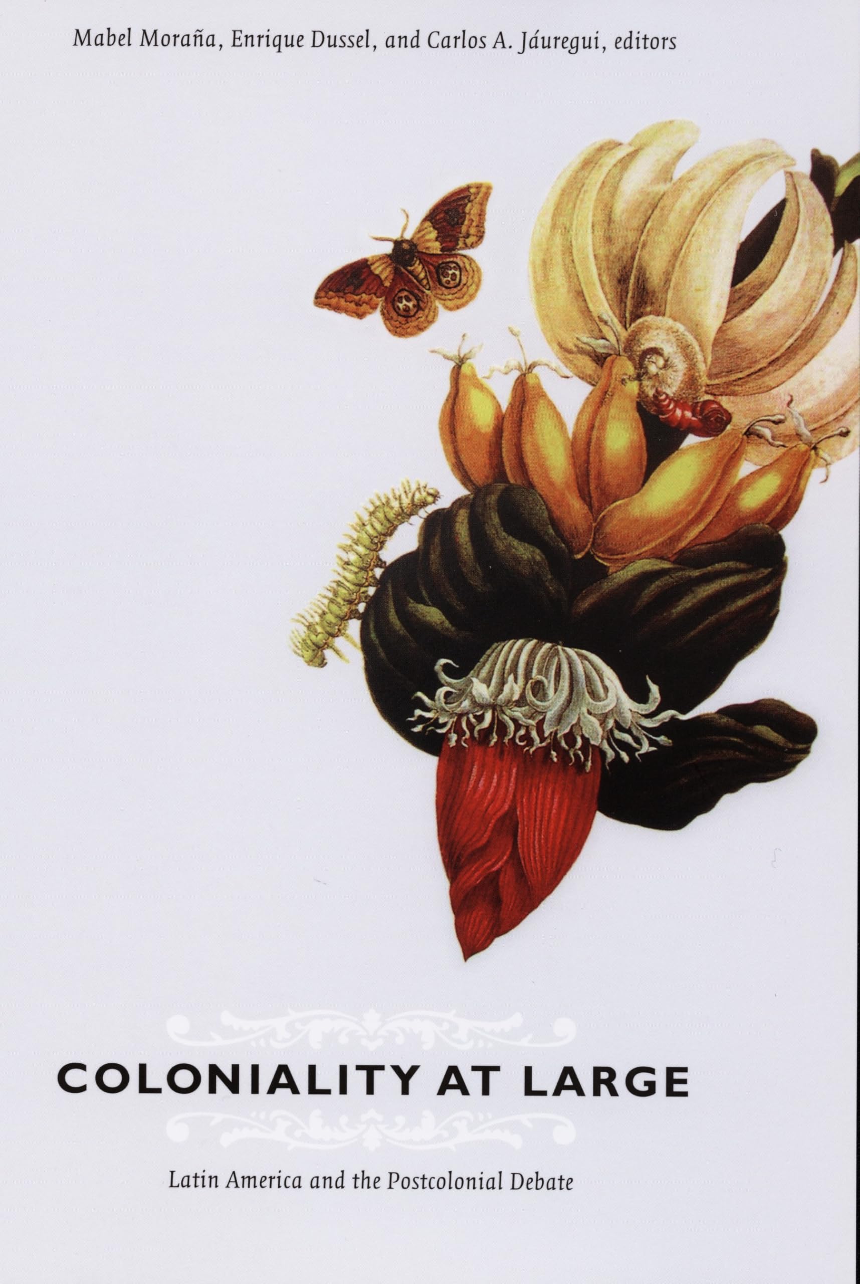Duke University Press Coloniality at Large: Latin America and the Postcolonial Debate (Latin America Otherwise) Buch