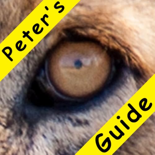 Kruger South - //medicalbooks.filipinodoctors.org