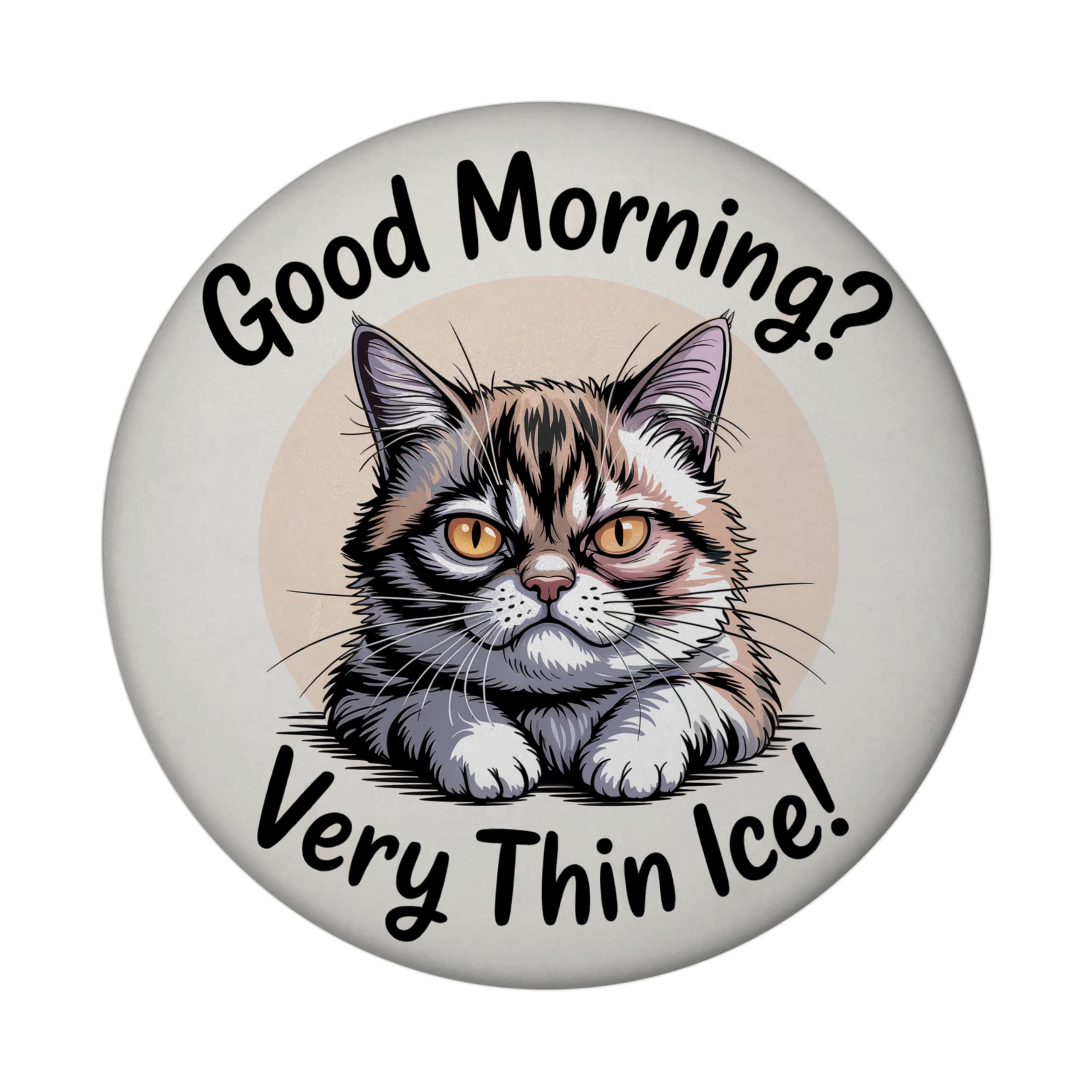 Speecheese Multicoloured Serious Cat Magnet - Good Morning? Very Thin Ice! Decorate Your Fridge With Novelty Feline Humor