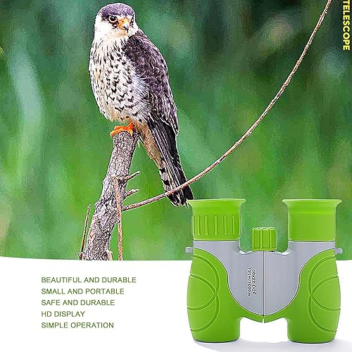Miniatura 3 de Cute Binocular, Compact High Resolution, Anti Slip Design, Diopter Adjustment, for Bird Watching and Travel, Easy to Carry