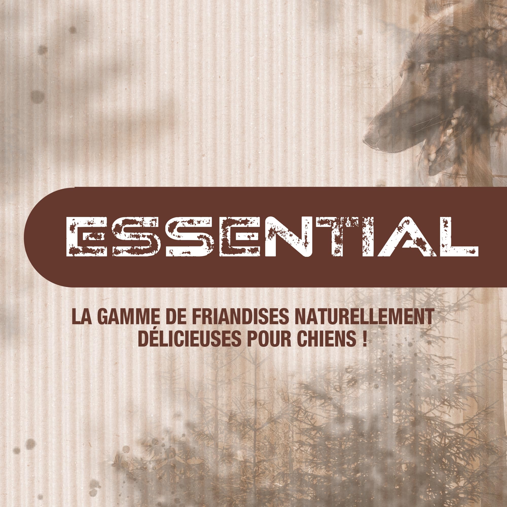 Riga - Essential Poumons De Bœuf Séchés - Friandises Chien - Riche en Protéines - 100% Naturel - Non Transformé - Longue Durée - Mastication Et Récompense - Gourmandise Naturelle Savoureuse - 100 g