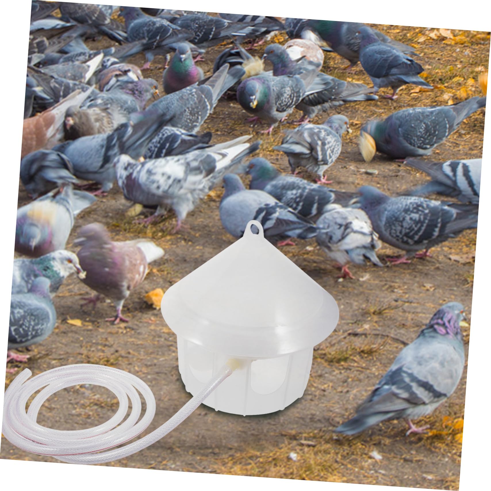 Toyvian Bebedero para Palomas Automático Dispensador De Agua para Jaula De Pájaros Comedero De Plástico Portátil para Palomas Accesorio para Pájaros