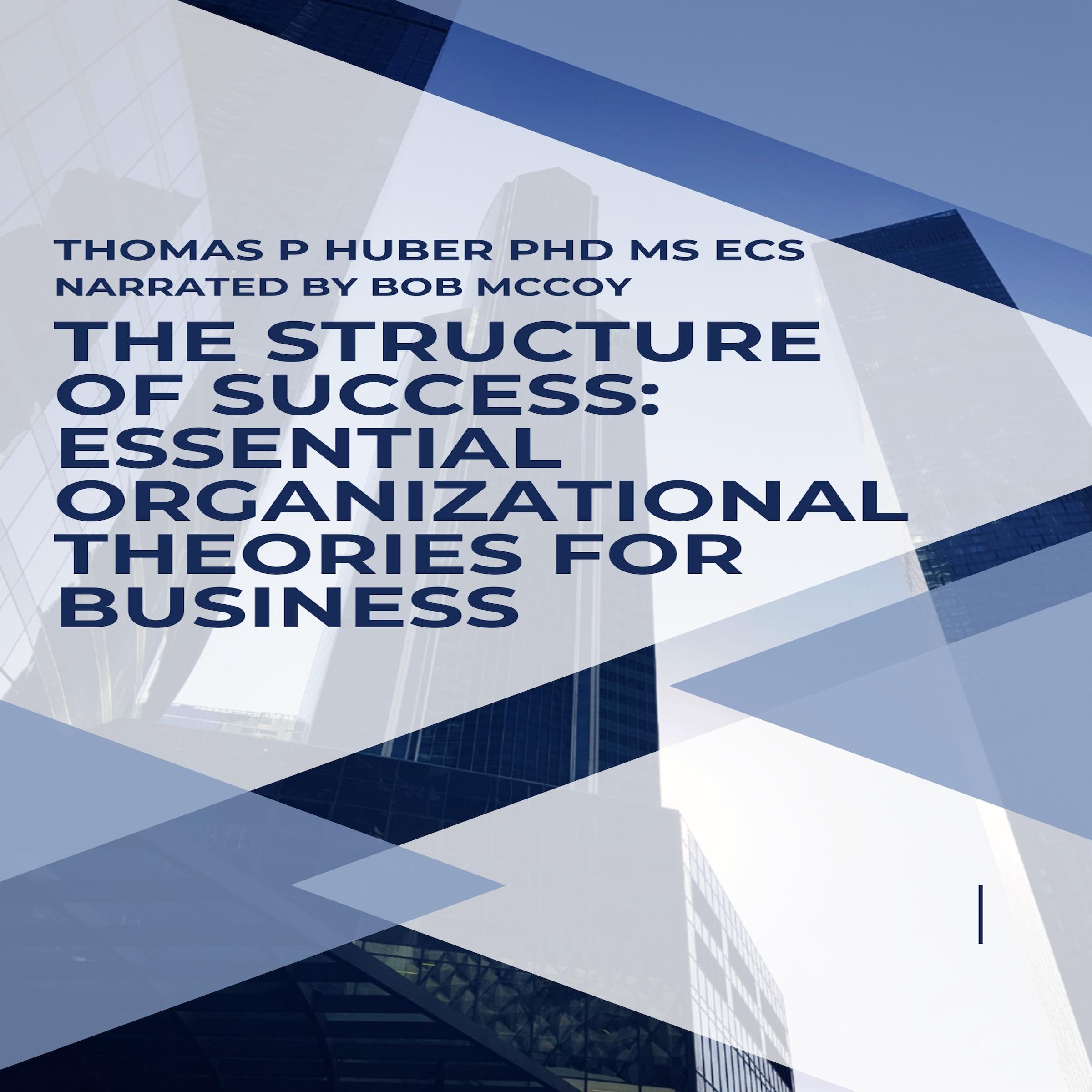 Cover art for The Structure of Success