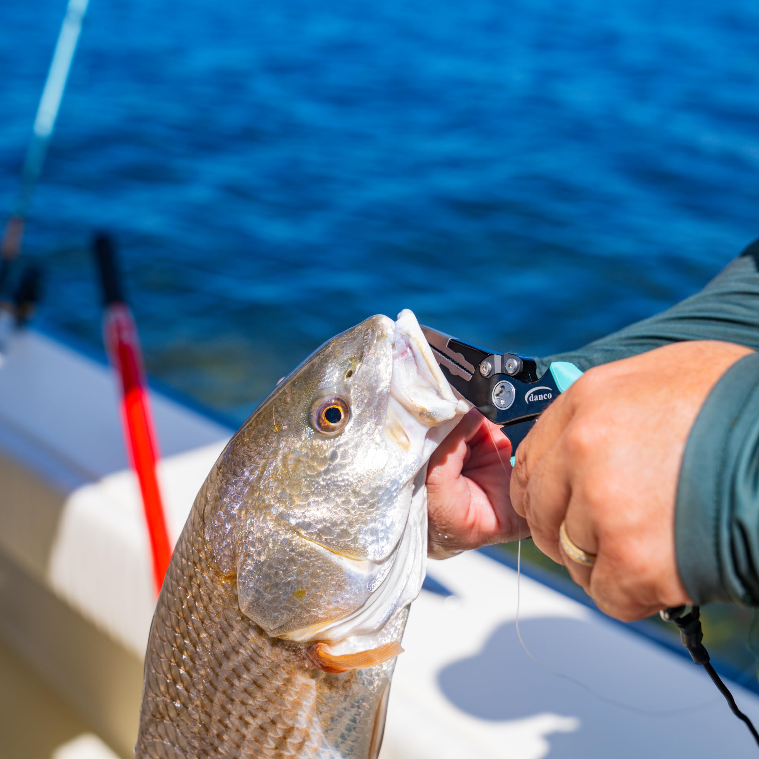 crazy fishing poles ProFISHiency 5'8" Krazy 3 Spinning Combo