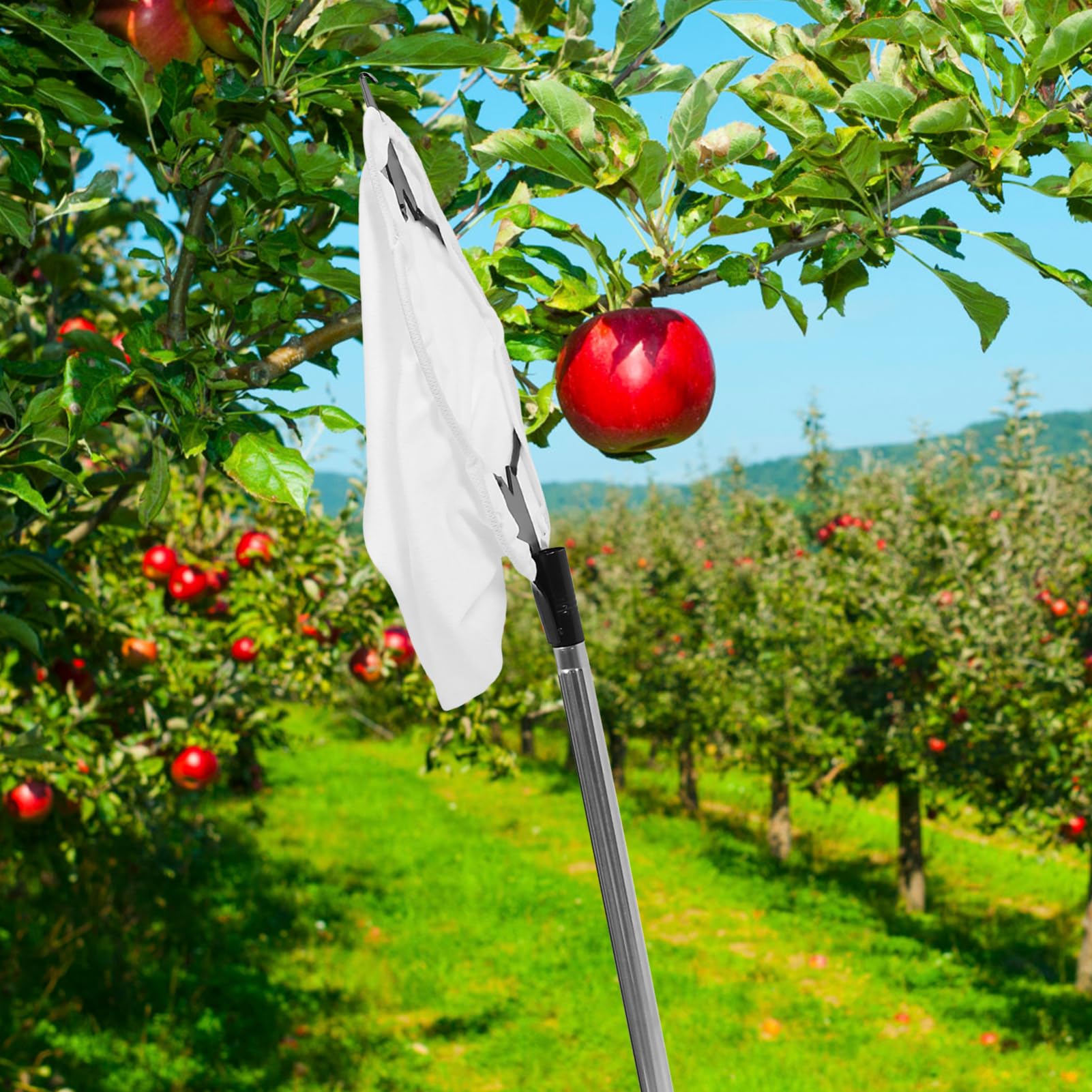Toddmomy 1 Juego Recolección de Frutas con Extensión Ajustable y Cabezal de Herramienta Multiusos para Manzanas y Incluye Cesta de Recolección y Varilla Inoxidable