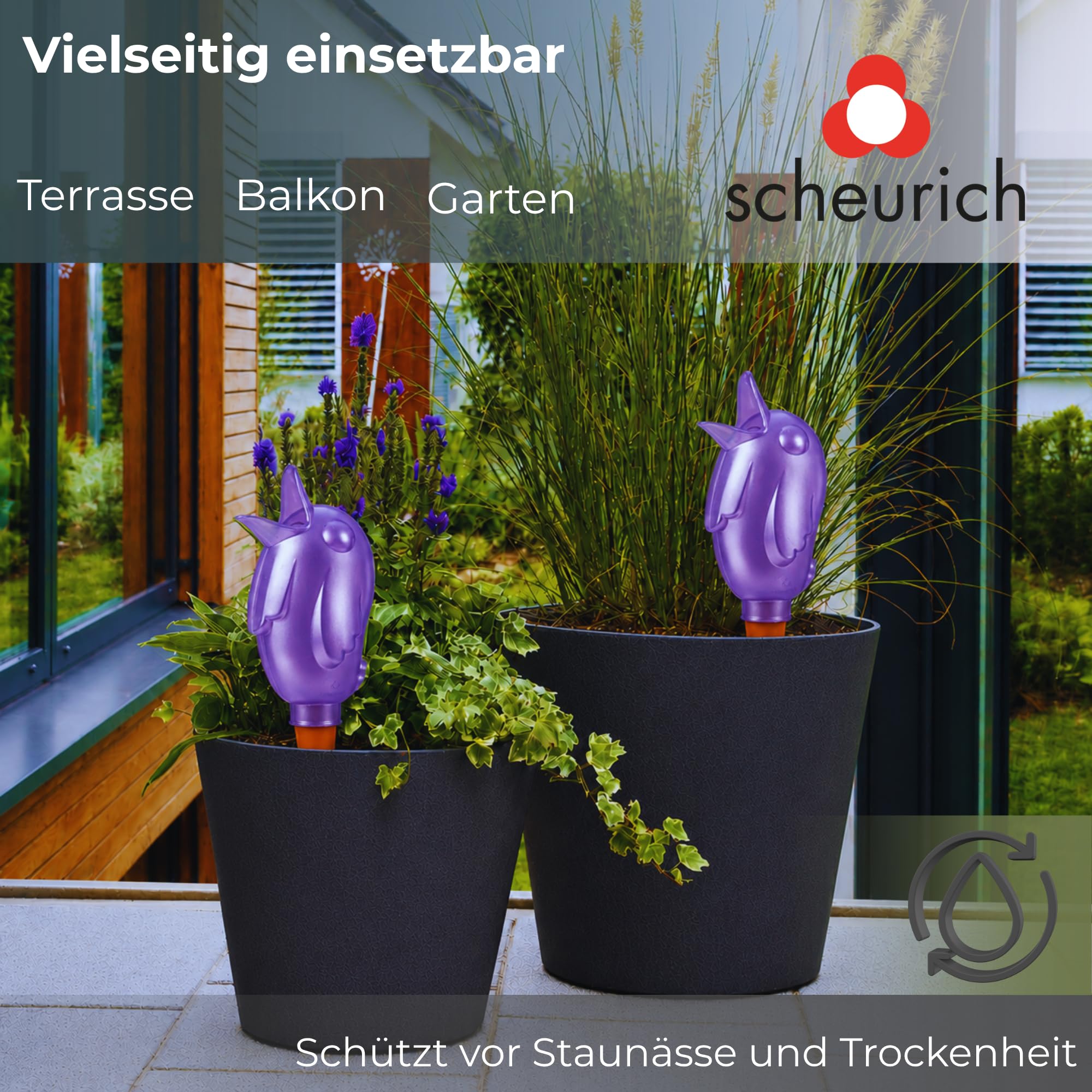 Scheurich Wasserspender XL Lila 8 Stück - 620ml Wasser für bis zu 7 Tage Purple Pearl Höhe 29 cm mit Tonkegel
