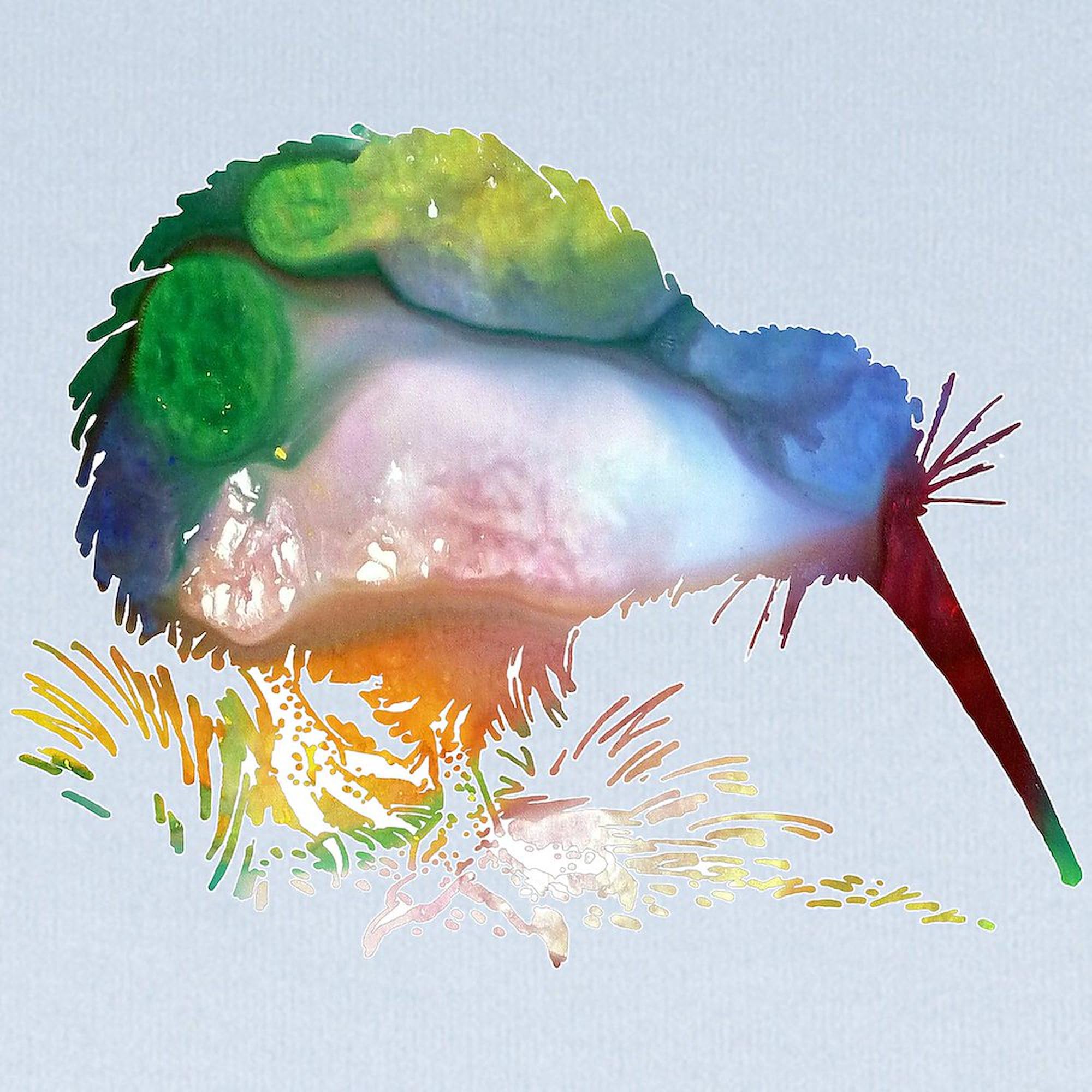 CafePress Kiwi Baby Blanket, Super Soft Newborn Swaddle