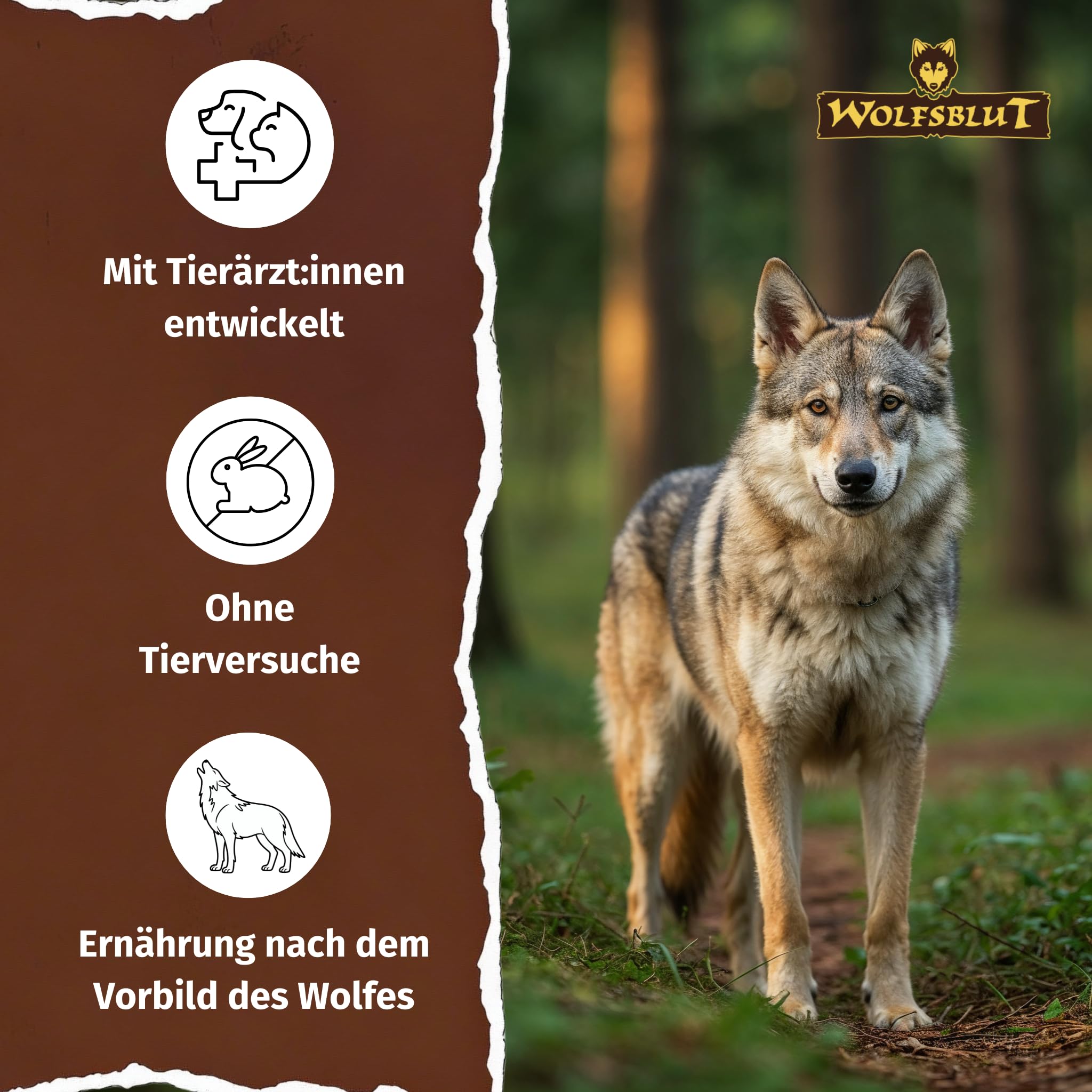 WOLFSBLUT – Wild Duck Adult | Trockenfutter mit natürlichen Zutaten und Superfoods für ausgewachsene Hunde. Getreidefreies Alleinfutter ohne Zusatzstoffe im Beutel | 14,5kg Ente