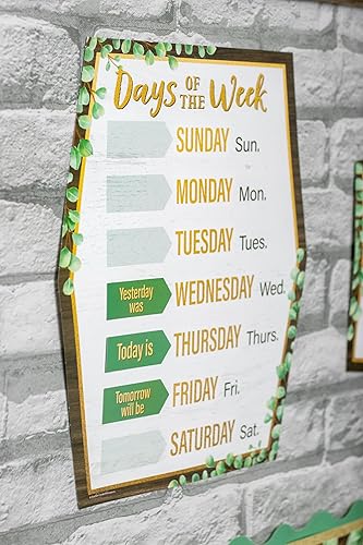 Miniatura 4 de Teacher Created Resources Juego de tablones de anuncios con calendario de eucalipto