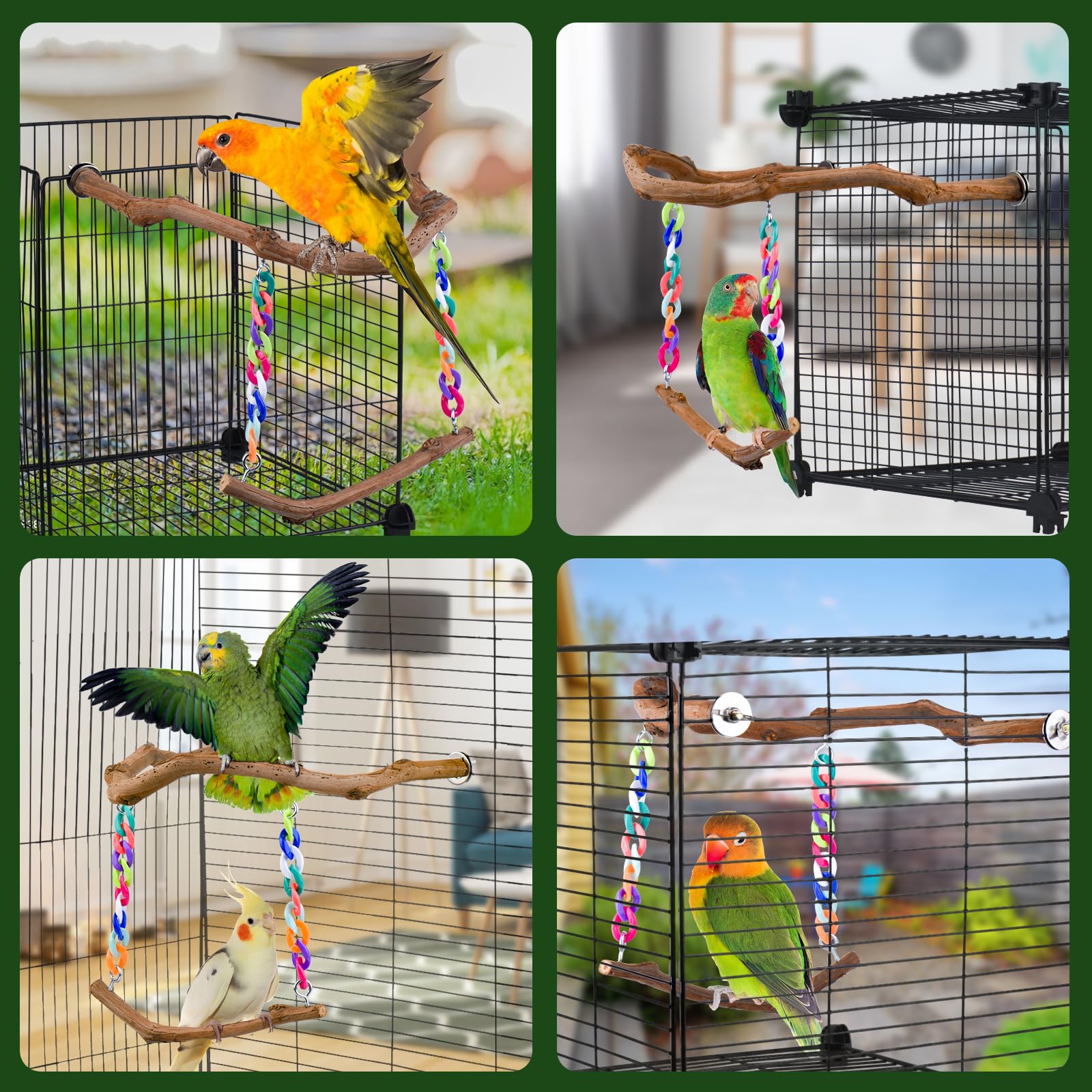 Papageien-Sitzstange aus Traubenholz, U-Form, Schaukel für Aras, Nymphensittiche, Sittiche, Finken, Klettern, Stehäste, Spielzeug (1 Stück)