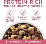 Purina ONE +Plus Dry Dog Food, Digestive Health with Chicken - 5.4 kg Bag