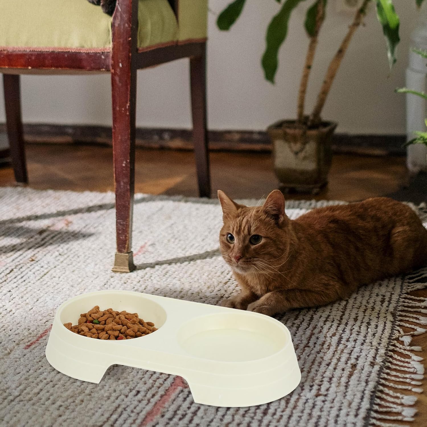 HEMOTON 8pcs Cat Feeding Bowl Set, Anti-Spill Plastic Pet Bowls with Non-Slip Base, Candy Color for Indoor Cats and Kittens