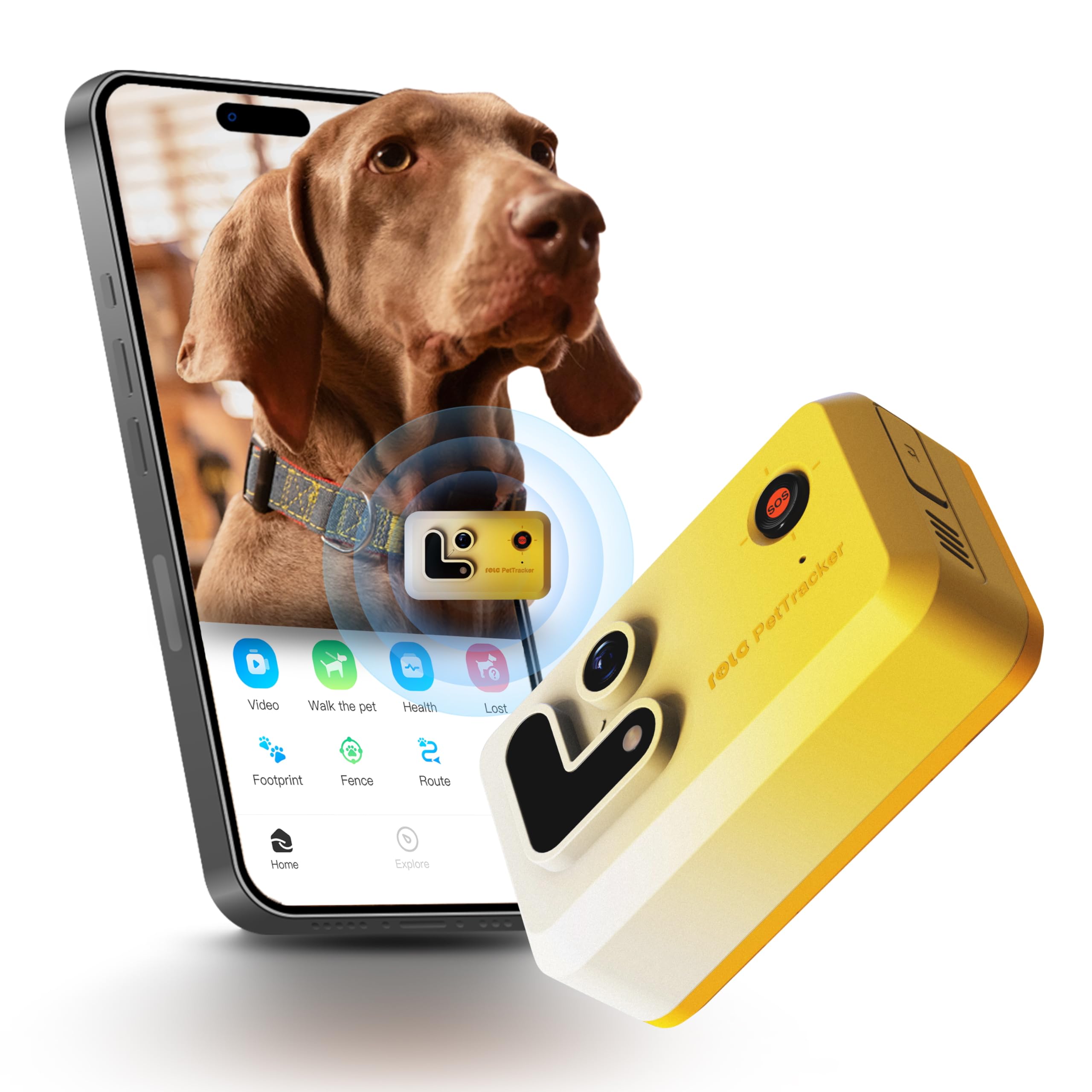 Enabot EBO ROLA PetTracker | GPS para Perros - Localizador para Perros con GPS - Rastreador de Actividad - Color Amarillo