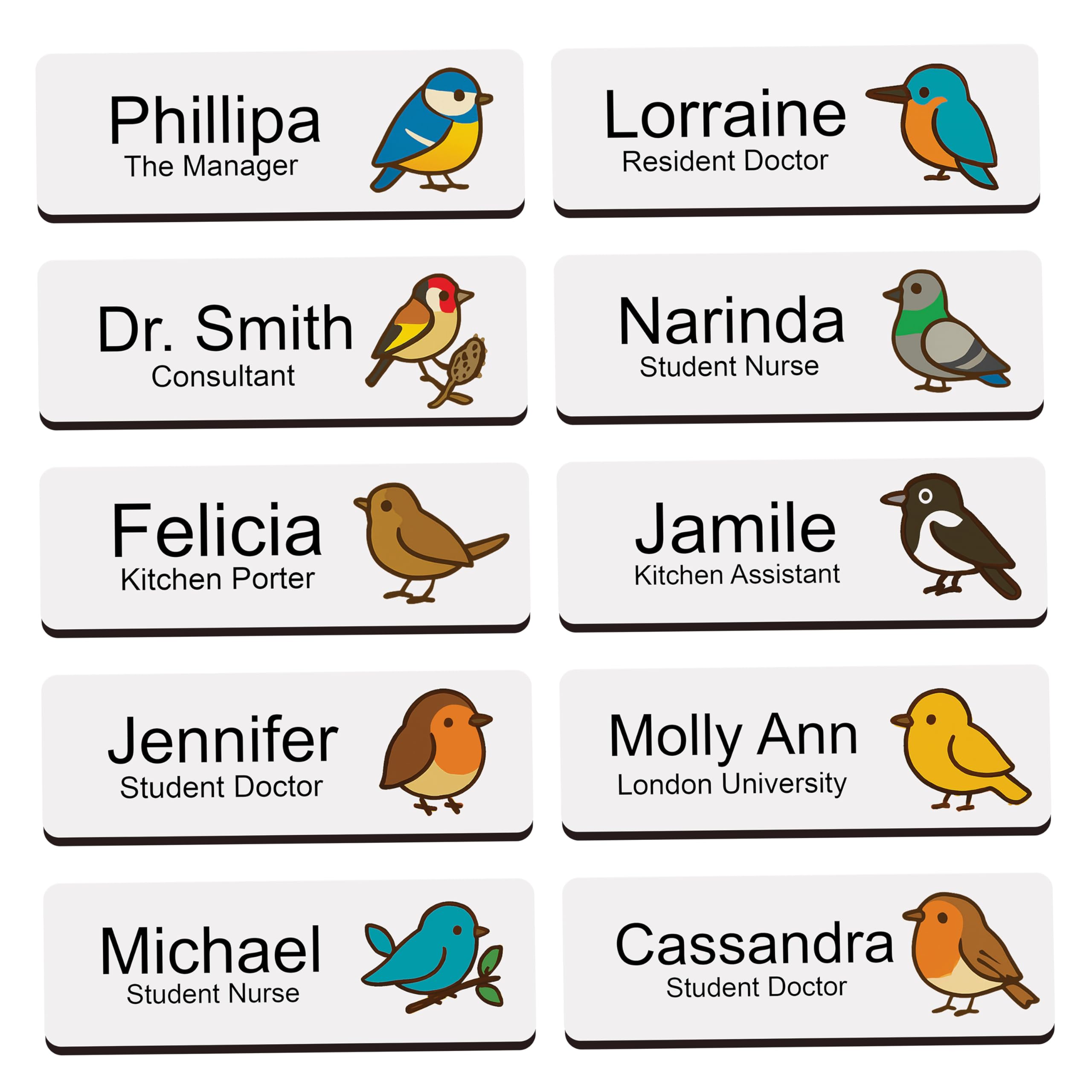 Custom Name Badge – Cute Bird Art Personalised Work, Event, Job ID Tag – 2.5x7.5cm – Hard Gloss Finish with Pin or Magnetic Attachment