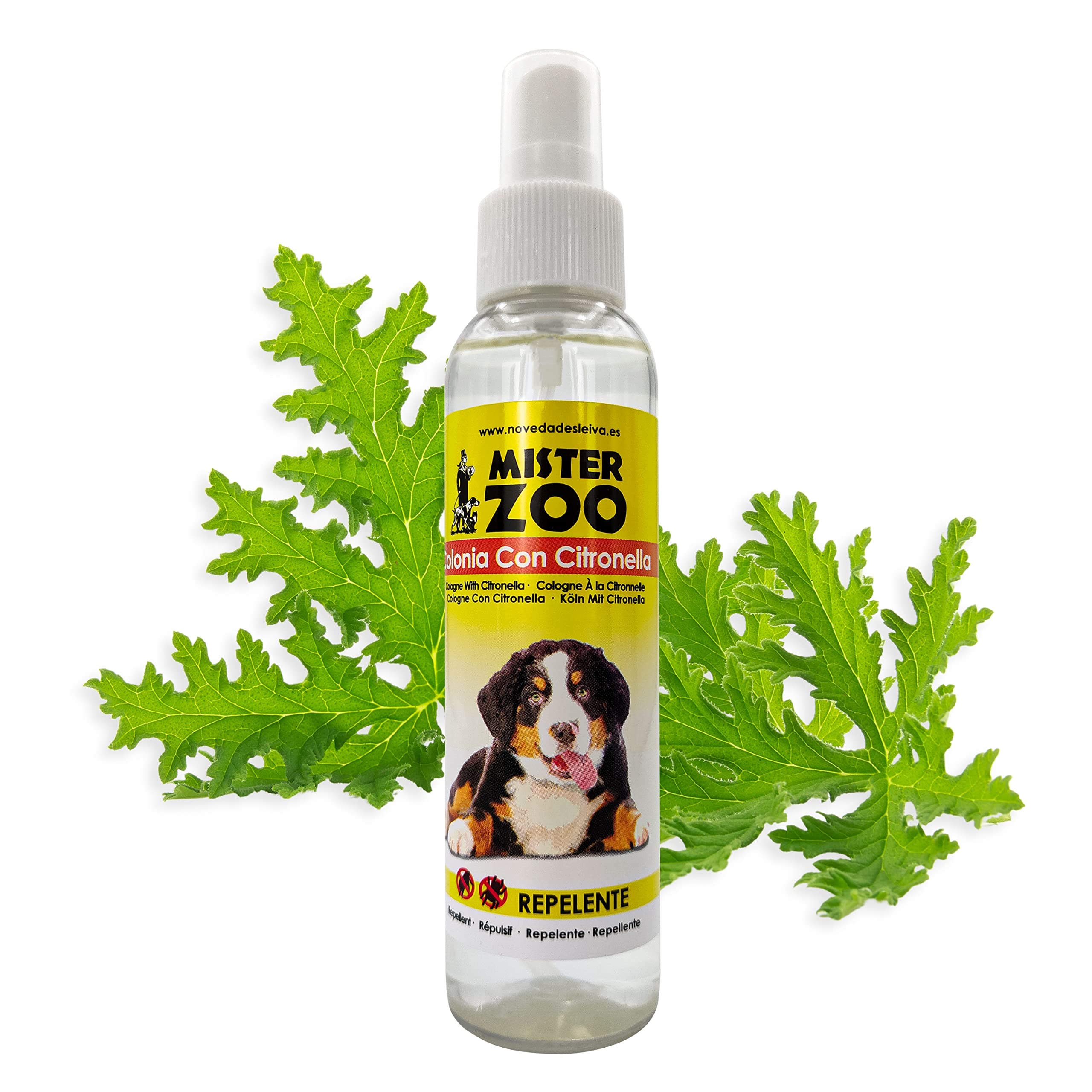 MISTER ZOO – Colonia para Perros de Citronela Natural y Repelente, Neutralizador de olores, Antiparasitario, Spray anti insectos suave para perros pequeños, medianos y grandes