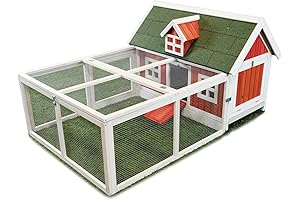 Rhode Island Red Chickens for Sale | Ware Manufacturing Little Red Hen Barn