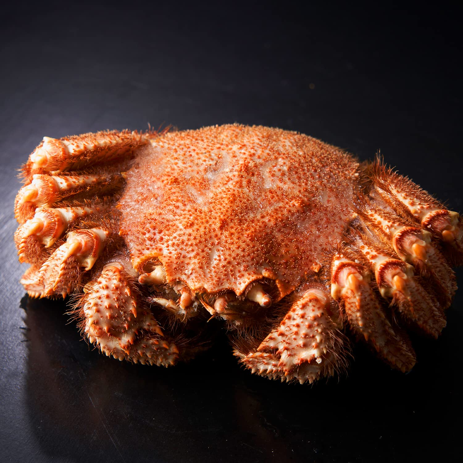 北海道きたれん 北海道産 超特大ボイル 毛蟹 (冷凍)