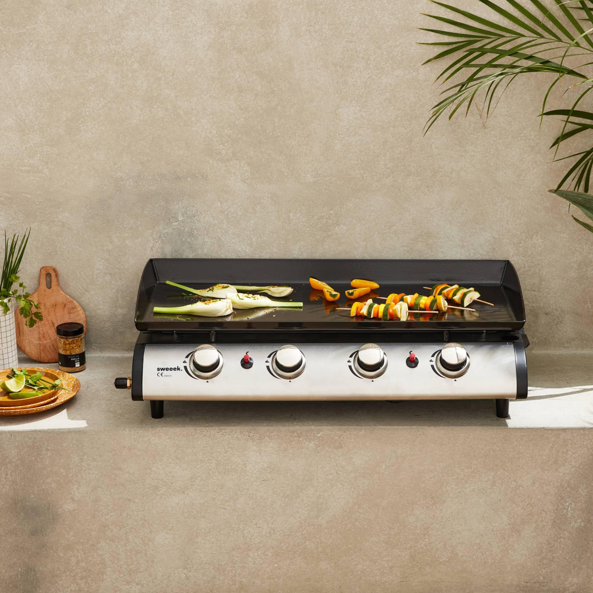 Alice's Garden Porthos 4 brûleurs Plancha au gaz 10 KW Barbecue extérieur INOX