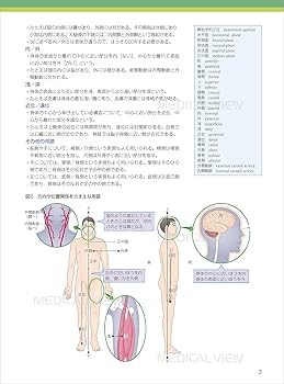 解剖学 (カラーイラストで学ぶ 集中講義) | 坂井 建雄 |本