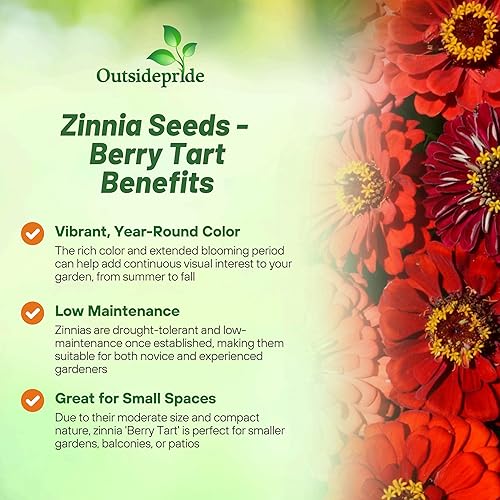 Miniatura 3 de Outsidepride - Zinnia Elegans, 2000 semillas anuales, Berry Tart Flower Seed Mix, mezcla de semillas de flores para plantar