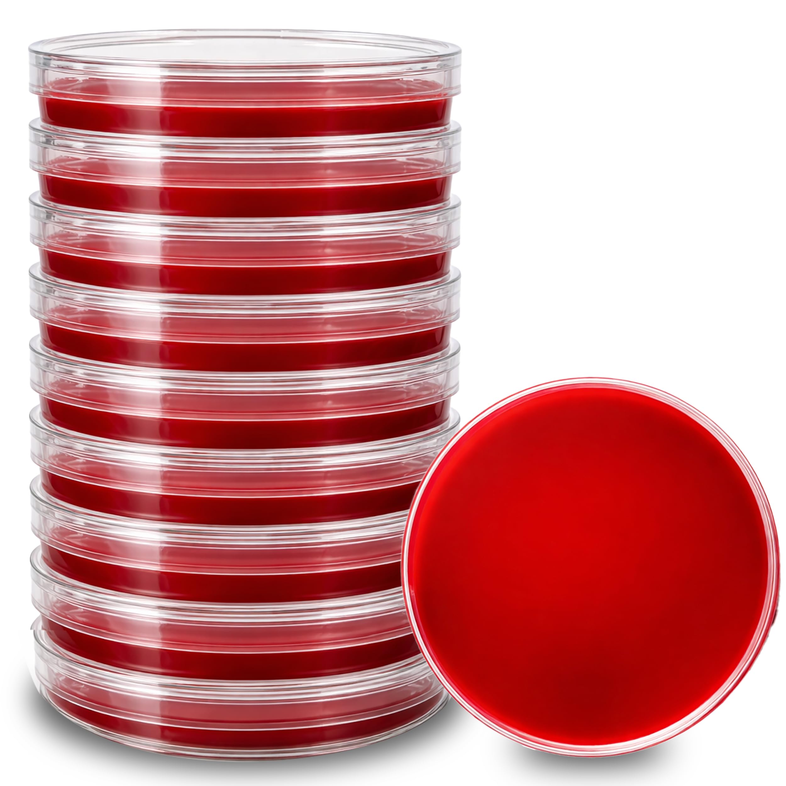 ES EVVIVA SCIENCES Blood Agar Plates with Sterile Cotton Applicators – 10 Pre-Poured 100×15mm Petri Dishes – 5% Defibrinated Sheep Blood on TSA Base –