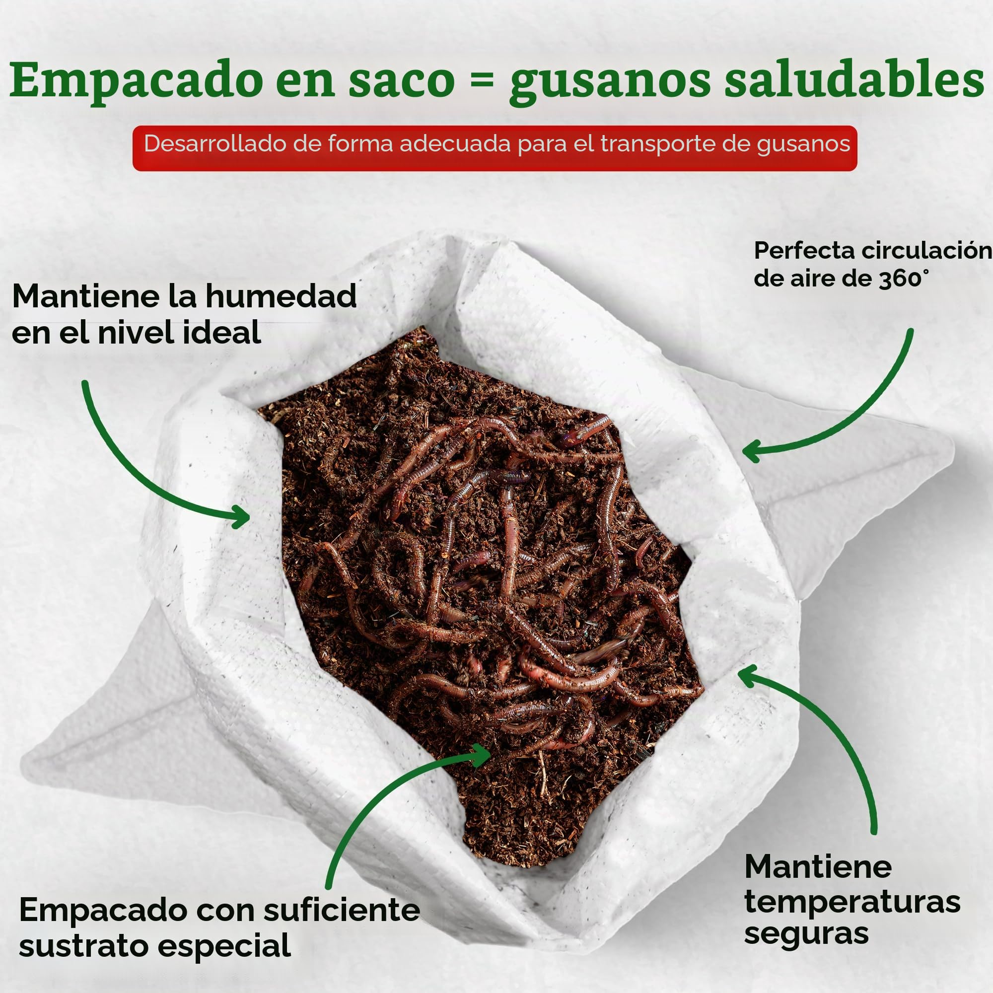 0,5 kg de gusanos compostables (aprox. 500 unidades)