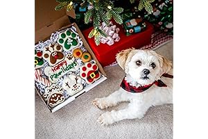 Wufers Holiday Dog Cookie Gift Box