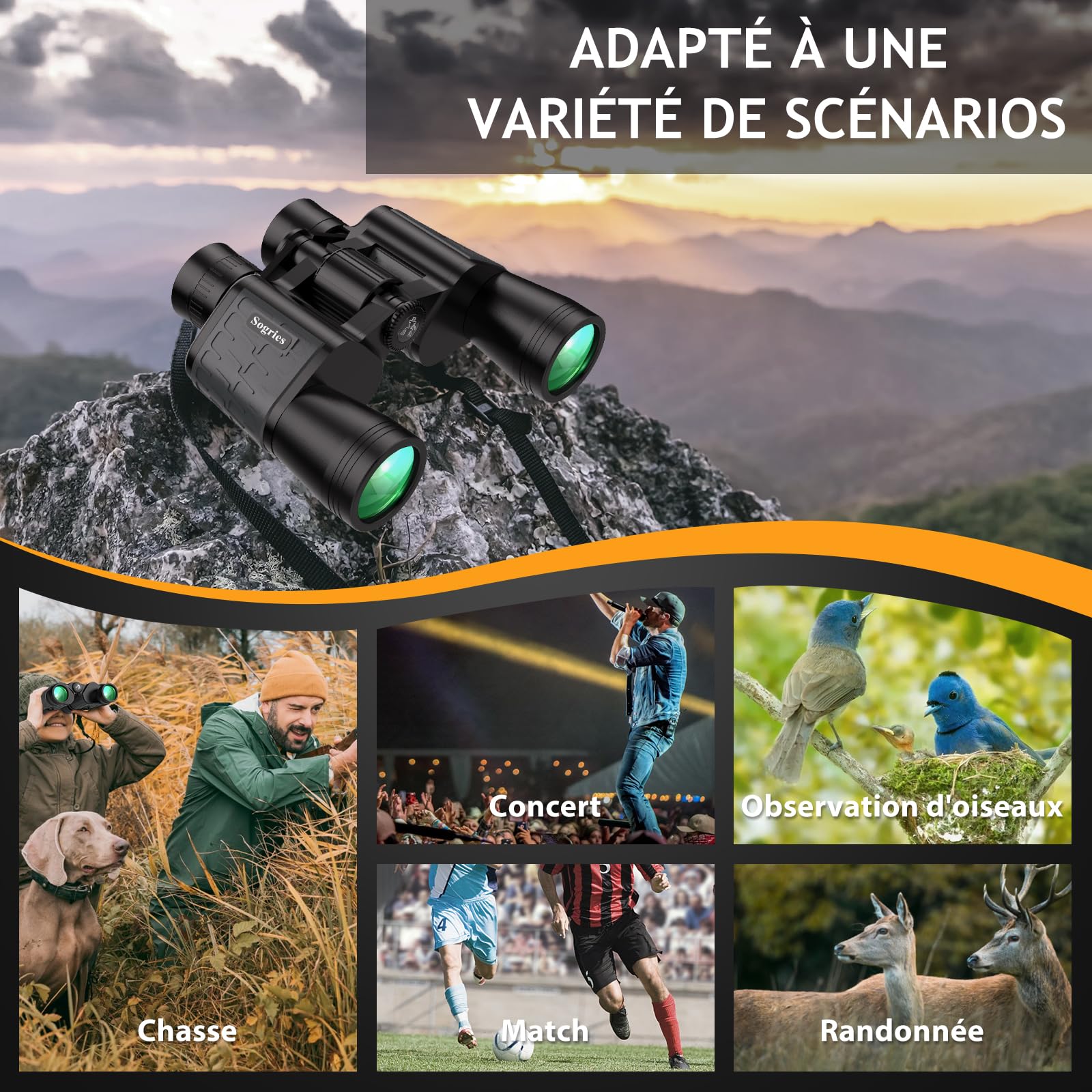 Jumelles HD 10x50 pour Adultes. Jumelles puissantes | Étanche et compact, adapté à l'observation des oiseaux et aux voyages. Vision par faible luminosité, poignée antidérapante