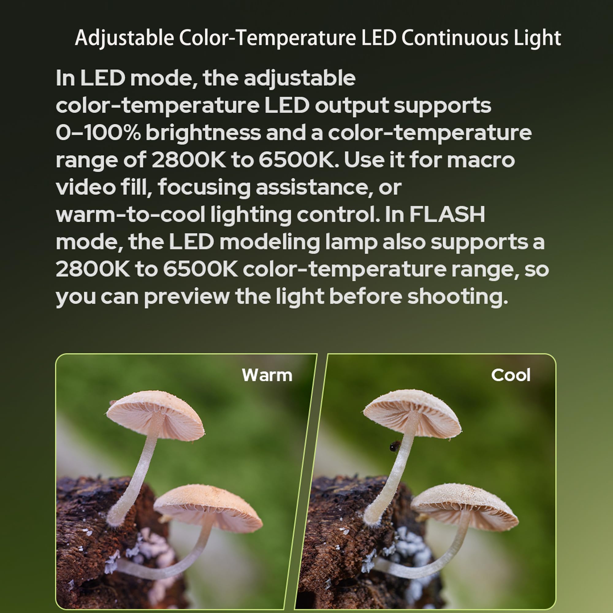 Godox MA2 Macro Twin Light CCT 2800K-6500K LED & Flash Fill Modalità S1/S2
