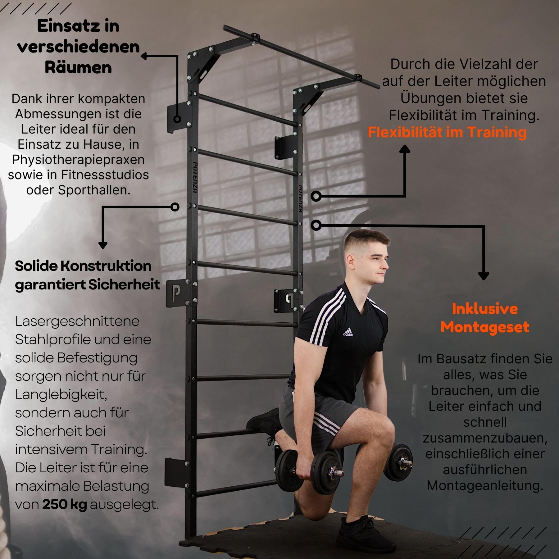 Potenza Spalliera Svedese in Acciaio con Barra per Trazioni – Scala da Ginnastica 230x81 cm per Casa e Palestra, Portata 250 kg, Home Gym Multifunzione