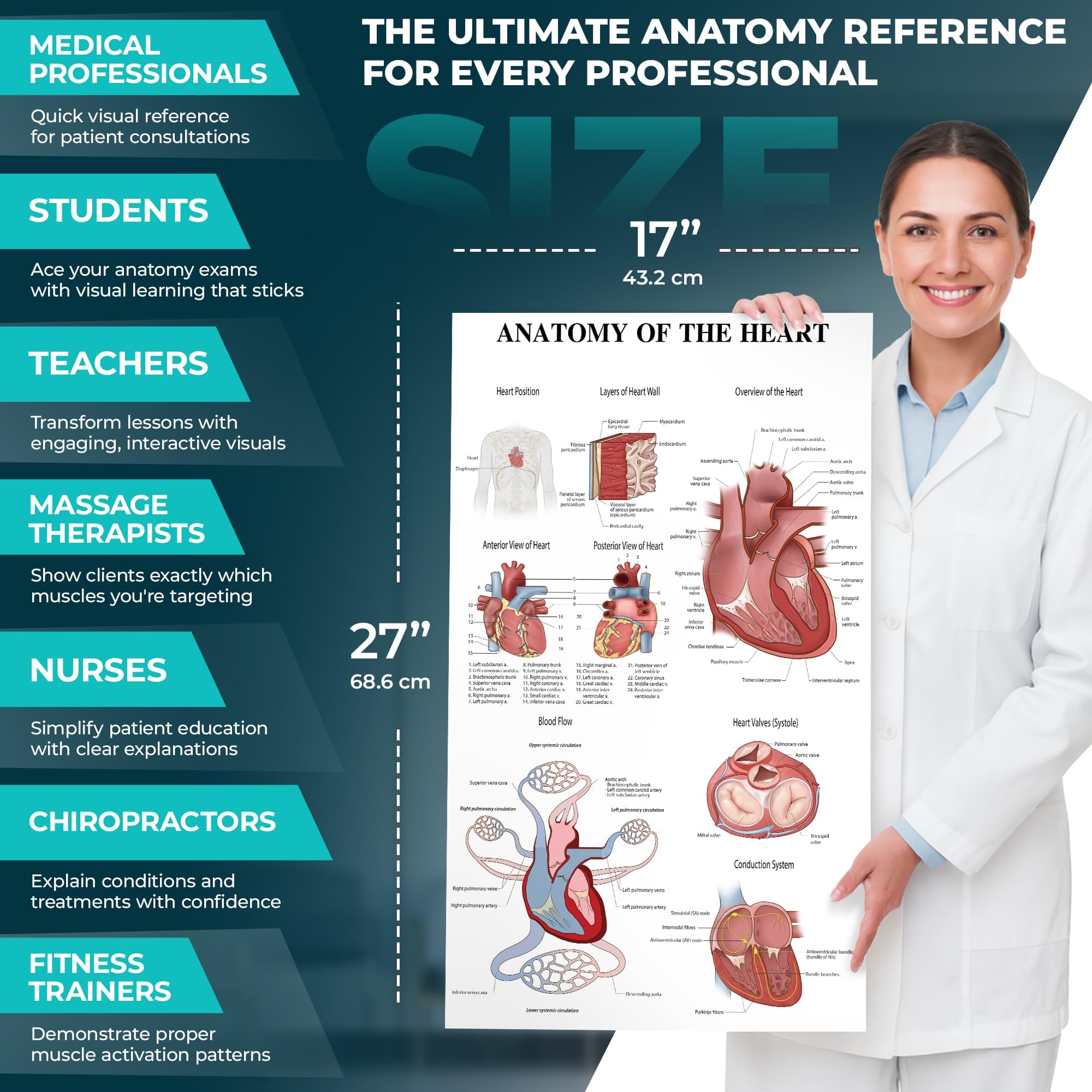 Lot de 12 affiches d'anatomie laminées pour mur – Tableaux éducatifs des systèmes du corps humain pour étudiants, salles de classe et décoration de bureau médical – Comprend les muscles, le