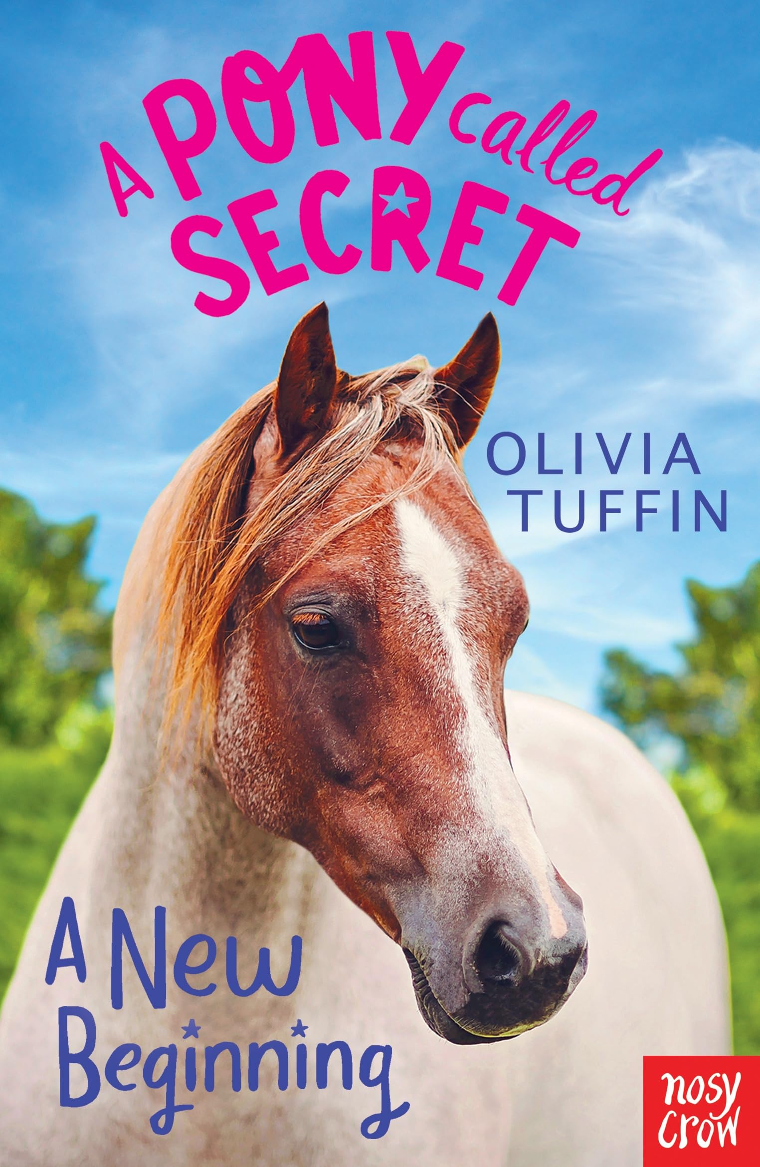 A Pony Called Secret: A New Beginning: Amazon.co.uk: Olivia Tuffin