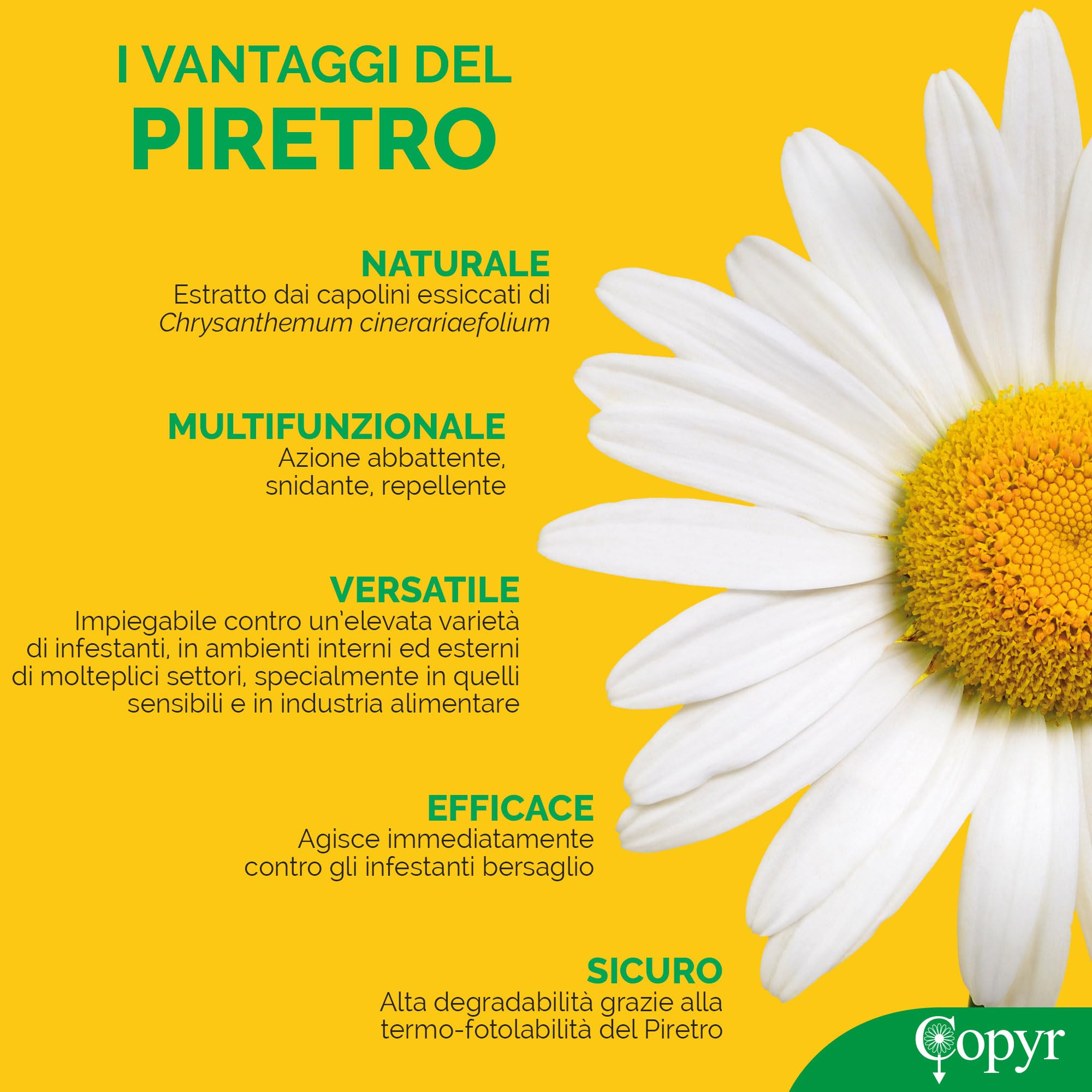 Copyr Kenyasafe Extra - Insetticida Antizanzare, Mosche e Insetti Volanti, 6 Bombole 250ml, Piretro Insetticida Biologico Repellente Zanzare Professionale Casa, Ho.Re.Ca., Settore Pubblico e Sanitario