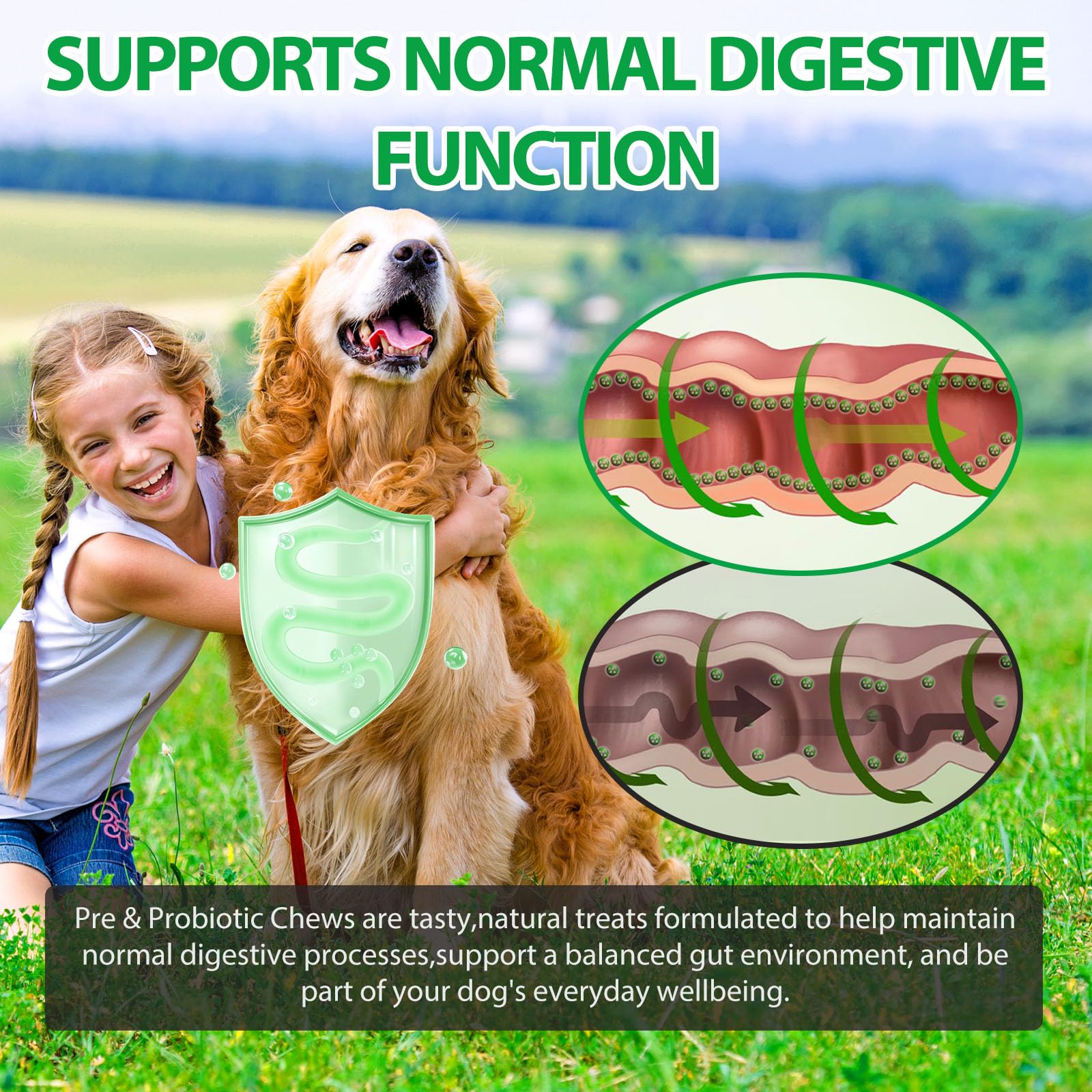 Probiotici per Cani - Masticatori Probiotici per la salute dell'intestino, Prurito Cutaneo, Diarrea - Masticatori per il Supporto Digestivo e il Sollievo Dalle Allergie Dei Cani con Enzimi