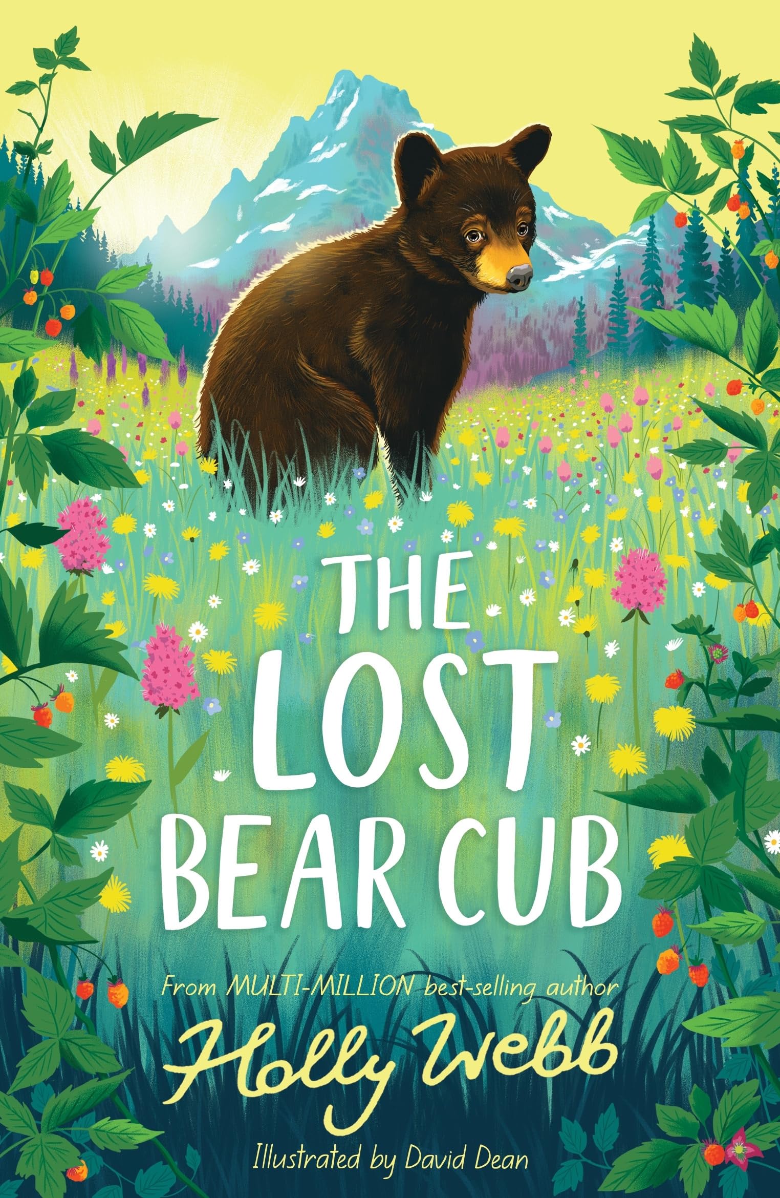 Lost Bear Cub