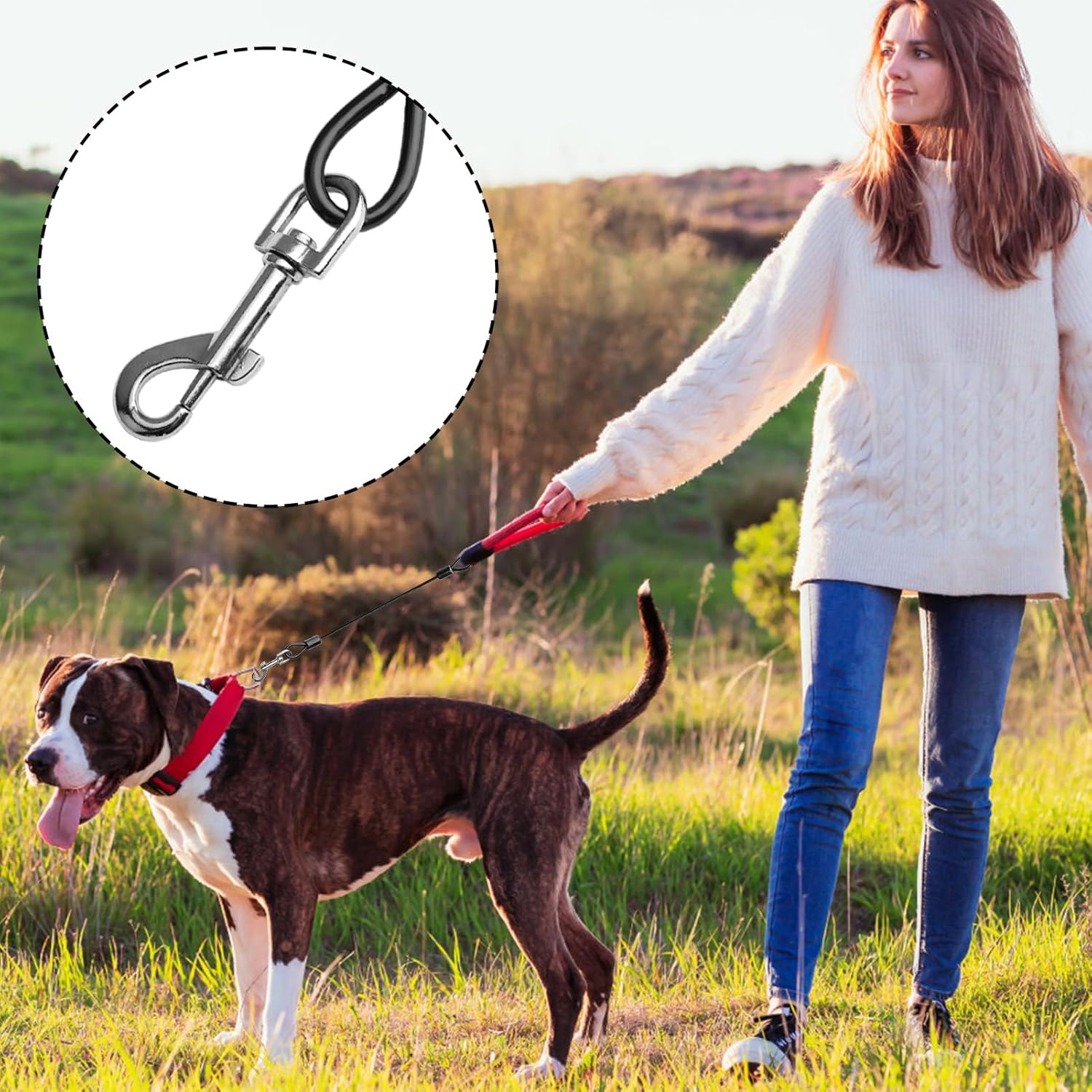 Anti Chew Dog Lead, 2Pcs Metal Dog Lead Chain Dogs Leads Extension Chew Proof Dogs Leads Heavy Duty Training Chain Non-Tangle Short Dog Chain for Pet Leash Collar 7 81vjApbJjAL. AC SL1500