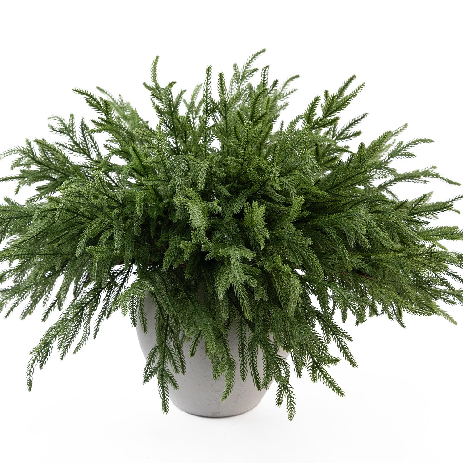 MISSPIN 12 Pcs 19.5 Inches Christmas Norfolk Pine Branches, Norfolk Pine Artificial Christmas Branches DIY Crafts Faux Pine Branches for Xmas Indoor Outdoor Home Decor