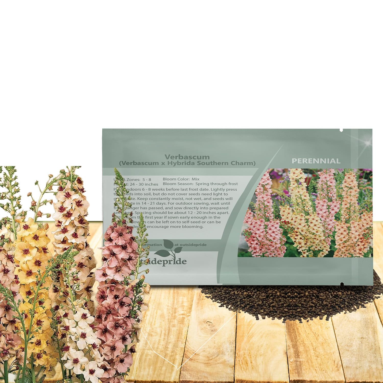 Amazon.com : Outsidepride Southern Charm Mullein Seeds for