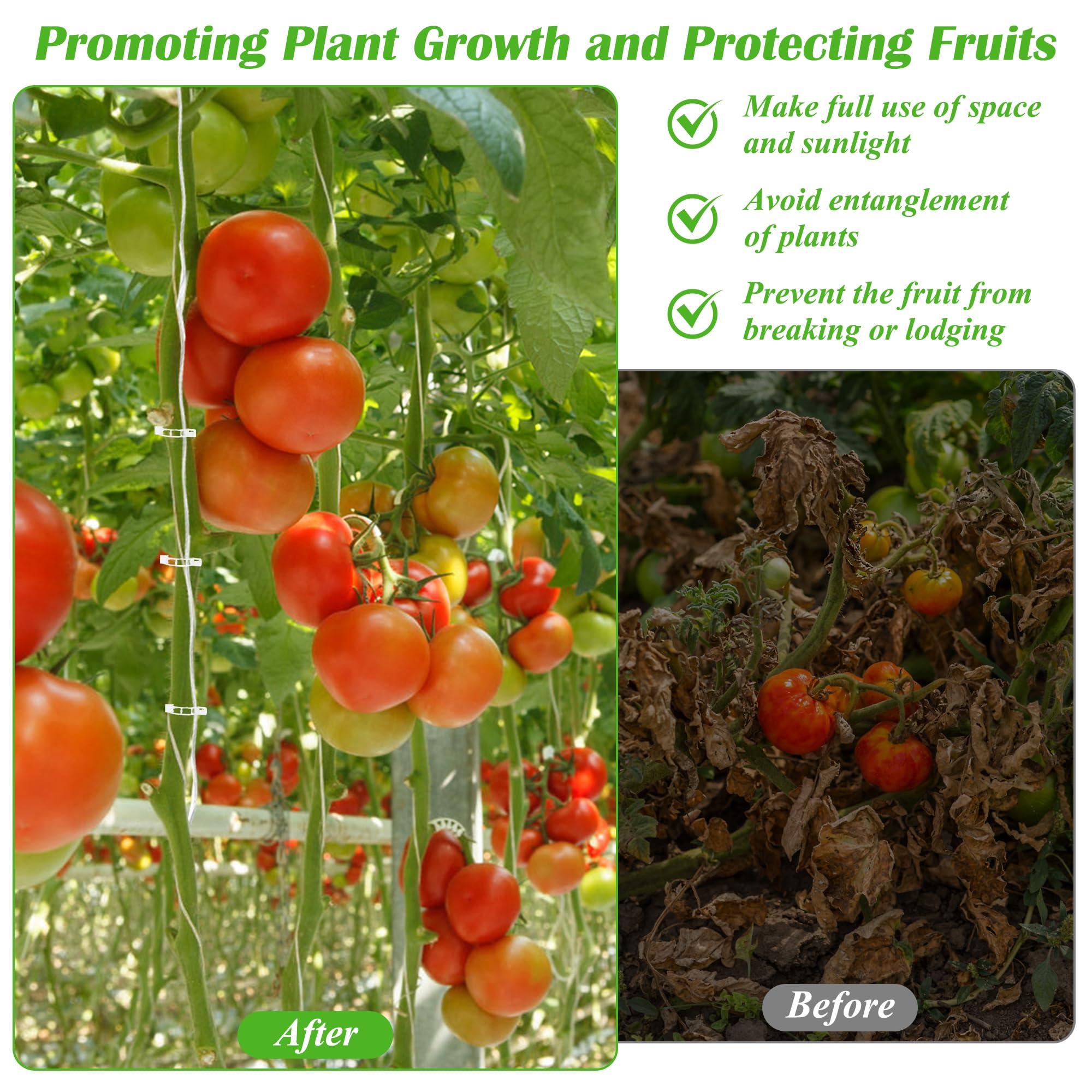 Ganchos de rodillo de tomate de 24 + 240 p con cordel de 50 pies y clips de enrejado de tomate, ganchos de escalada de plantas de vid Pletpet ganchos de soporte de tomate para cultivo de cordel de
