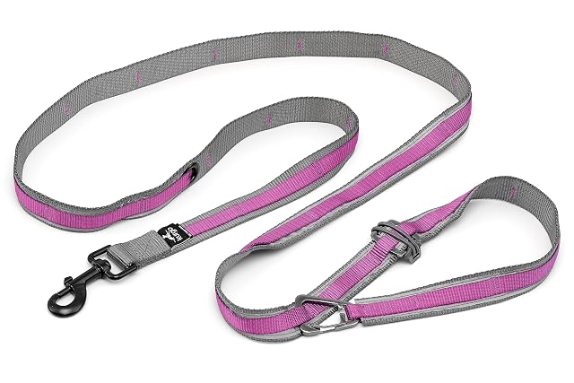 Kurgo Quantum Leash 2.0, Púrpura