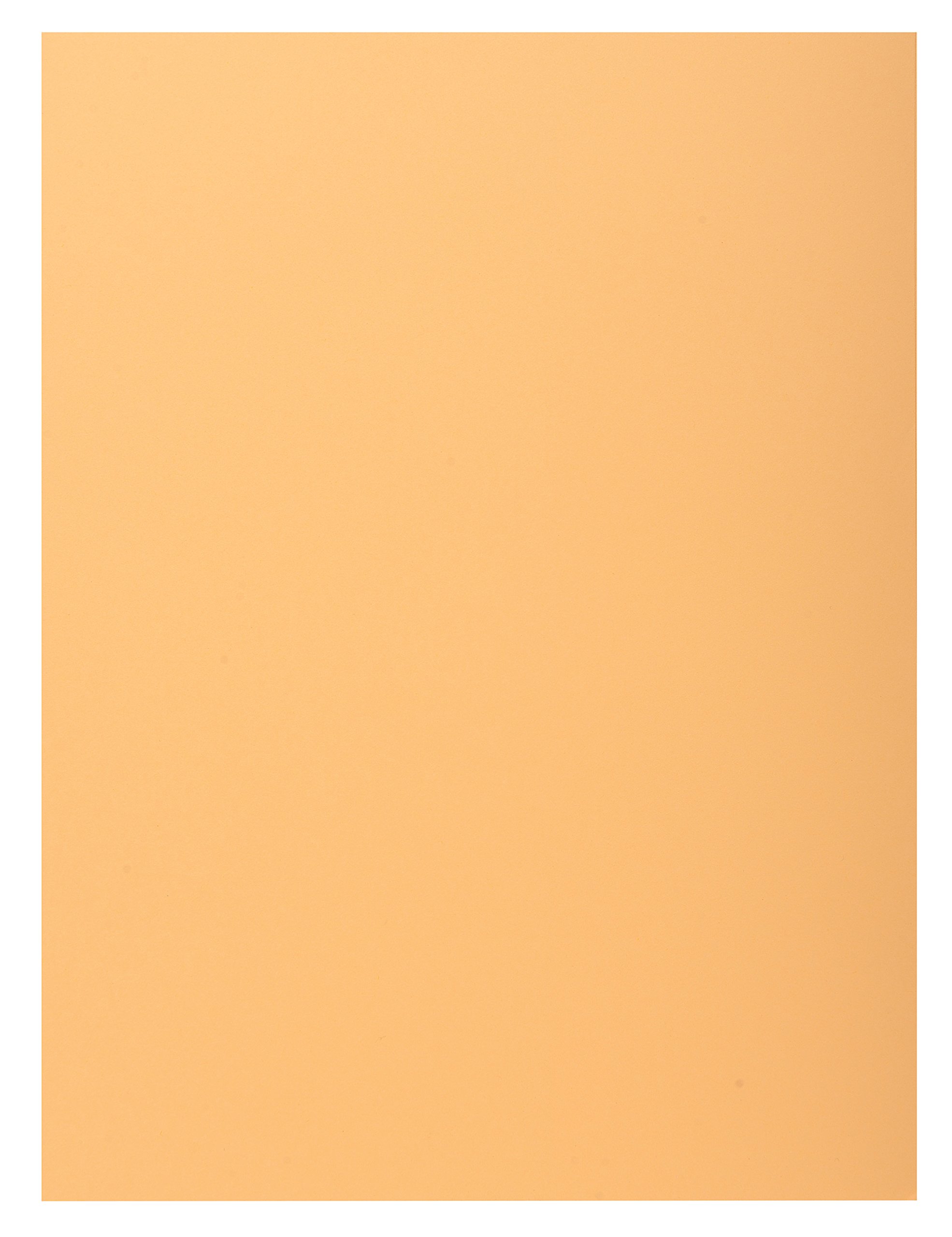 Exacompta, Ref 339002E, Super 210 1-Flap Folders, 240 x 320mm in Size, Suitable for Holding A4 Documents, 210gsm Card
