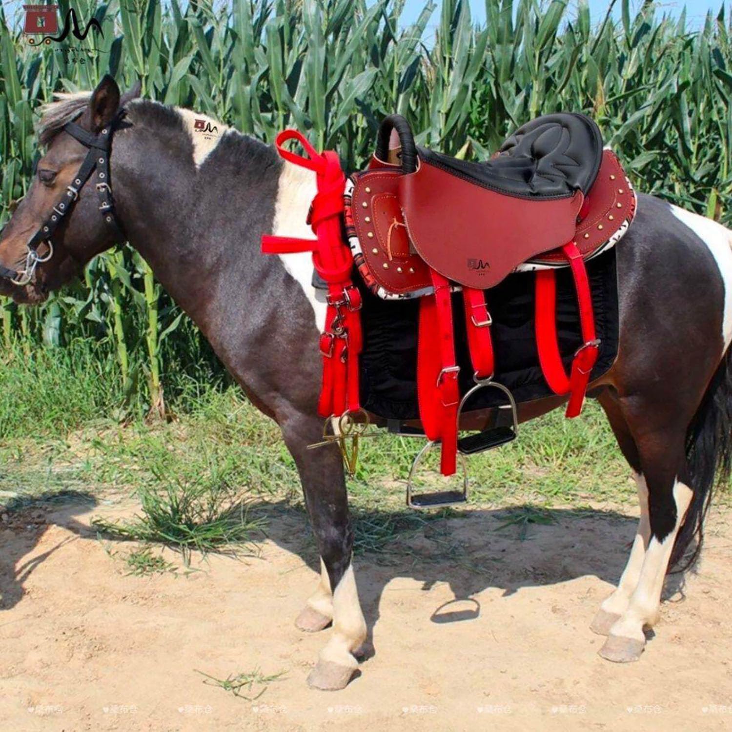 NILoykg& Set da 8 Pezzi per Sella per Cavallo, Kit Completo per Sella con staffe, staffe in Cuoio, sottopancia, Sopracciglia, sottosella, redini e Corda di Piombo,Nero
