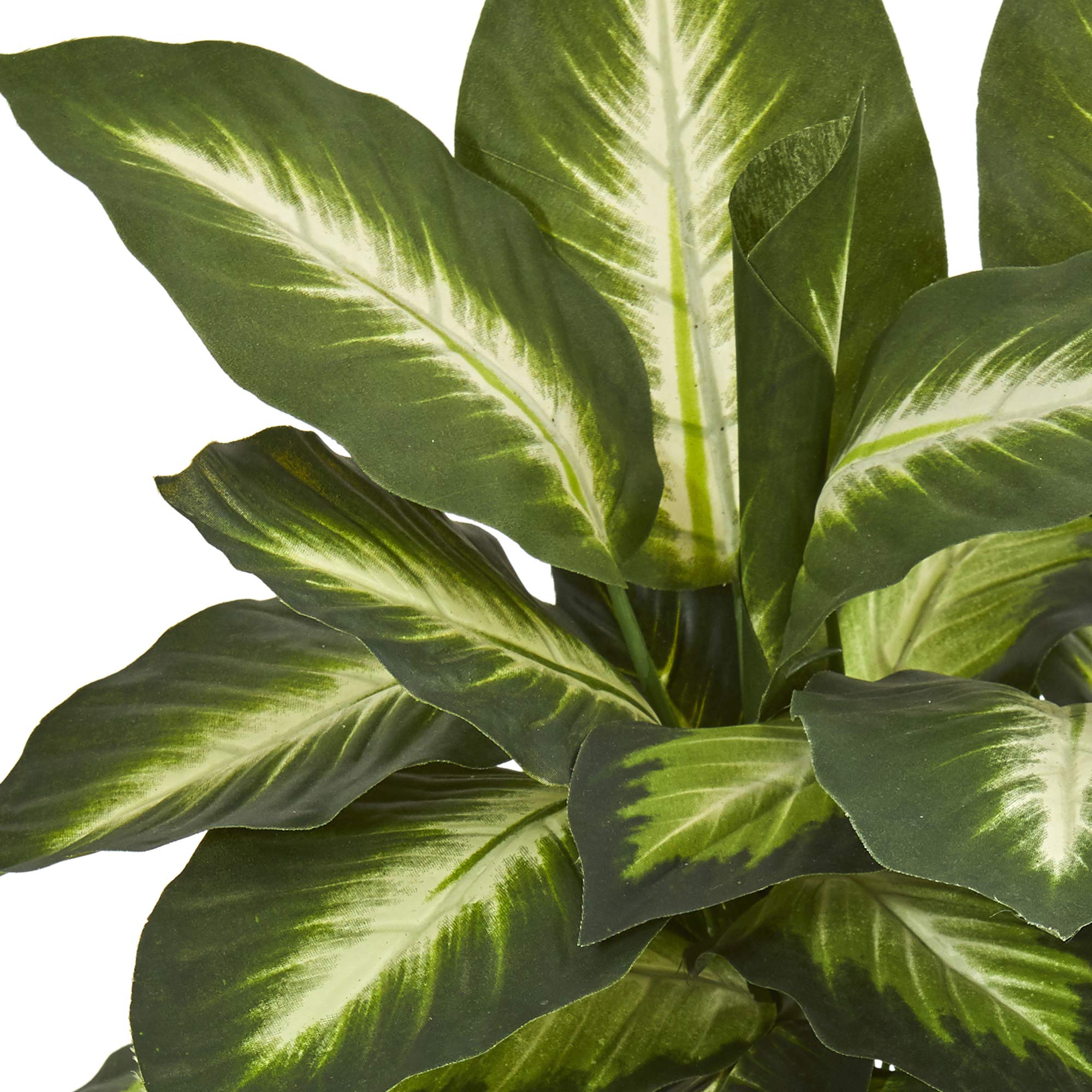 Nearly Natural Dieffenbachia Ceramic Planter Artificial Plant, Green