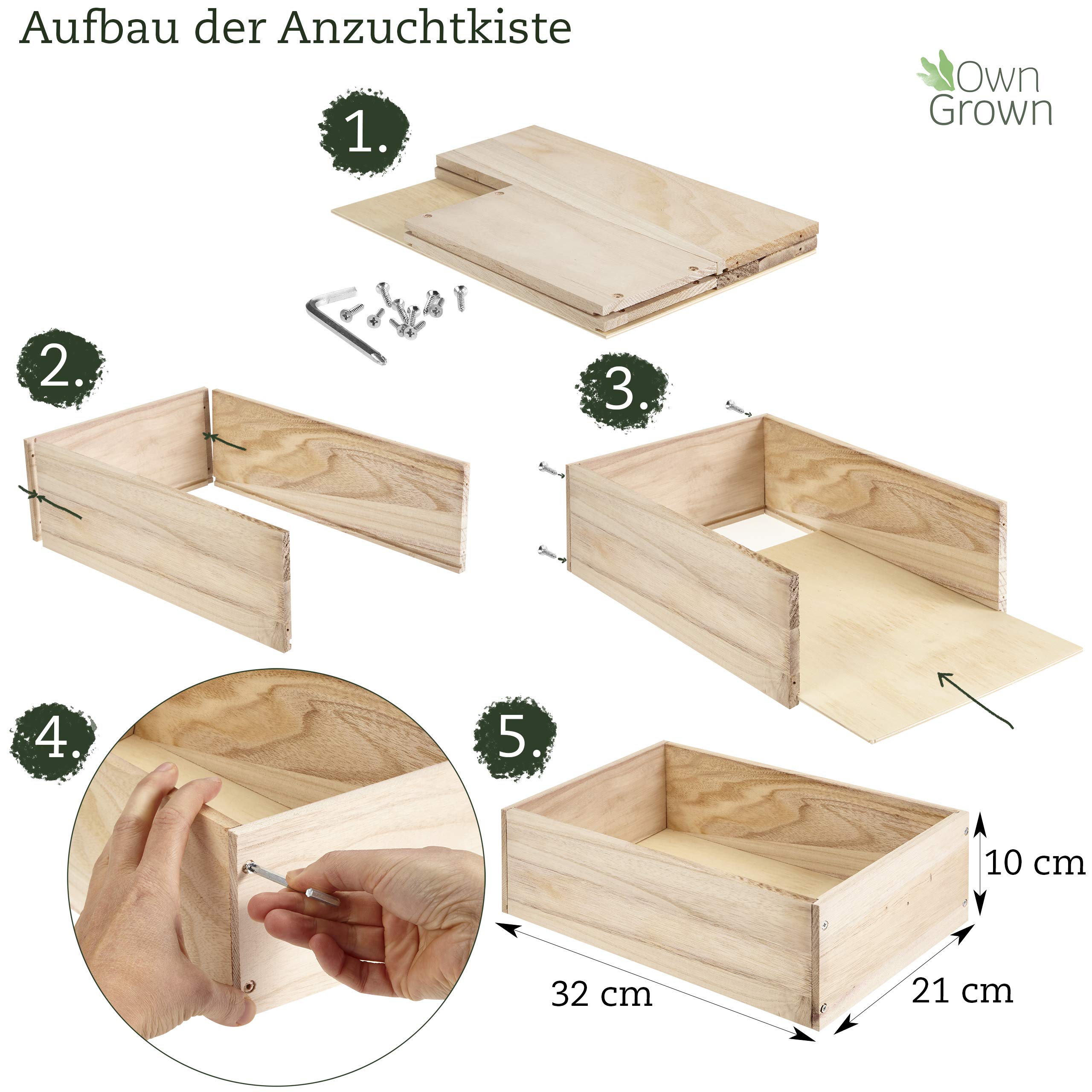 Saatgut Anzuchtset mit Holzkiste und 8 Sorten Pflanzen Samen: Kinder Anzuchtset Pflanzen mit Gemüse, Erdbeeren und Kräuter Samen – Mini Gewächshaus und Mini Garten Starter Kit von OwnGrown